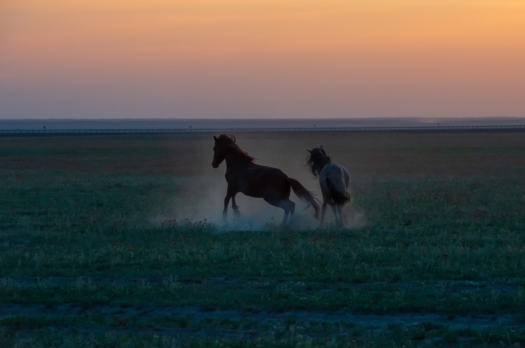 Фототур на Северный Тянь-Шань. Семиречье - жемчужина Казахстана. (20/126)