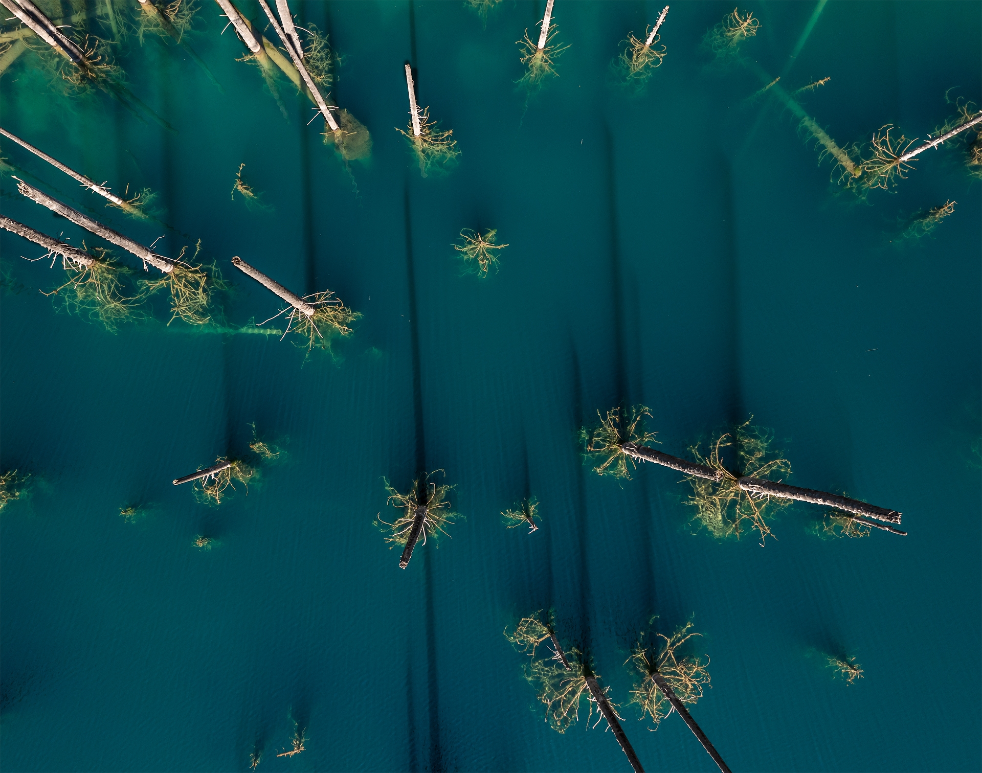 Фототур на Северный Тянь-Шань. Семиречье - жемчужина Казахстана. (23/126)