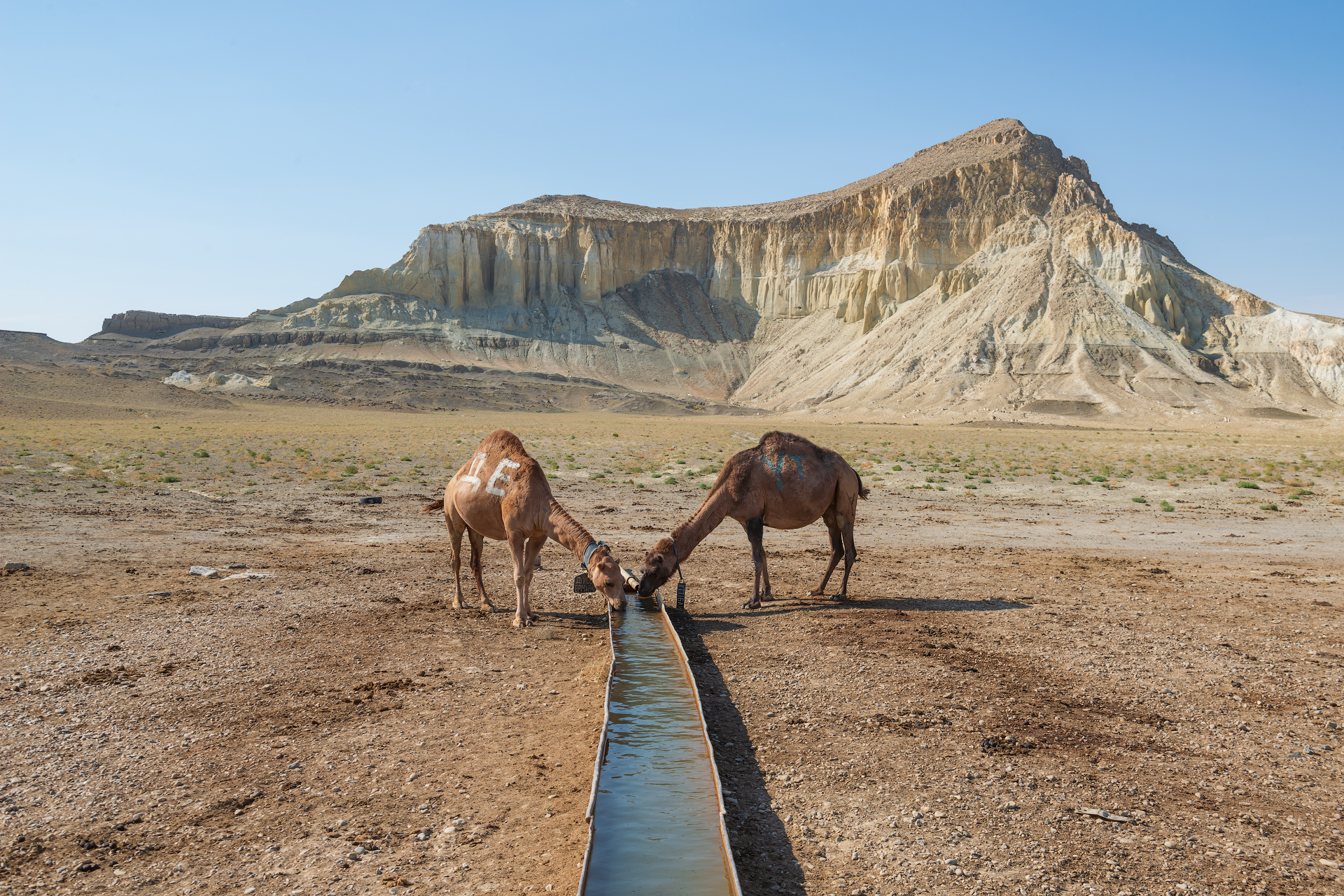 Фототур в Мангистау. Другая планета. (56/124)