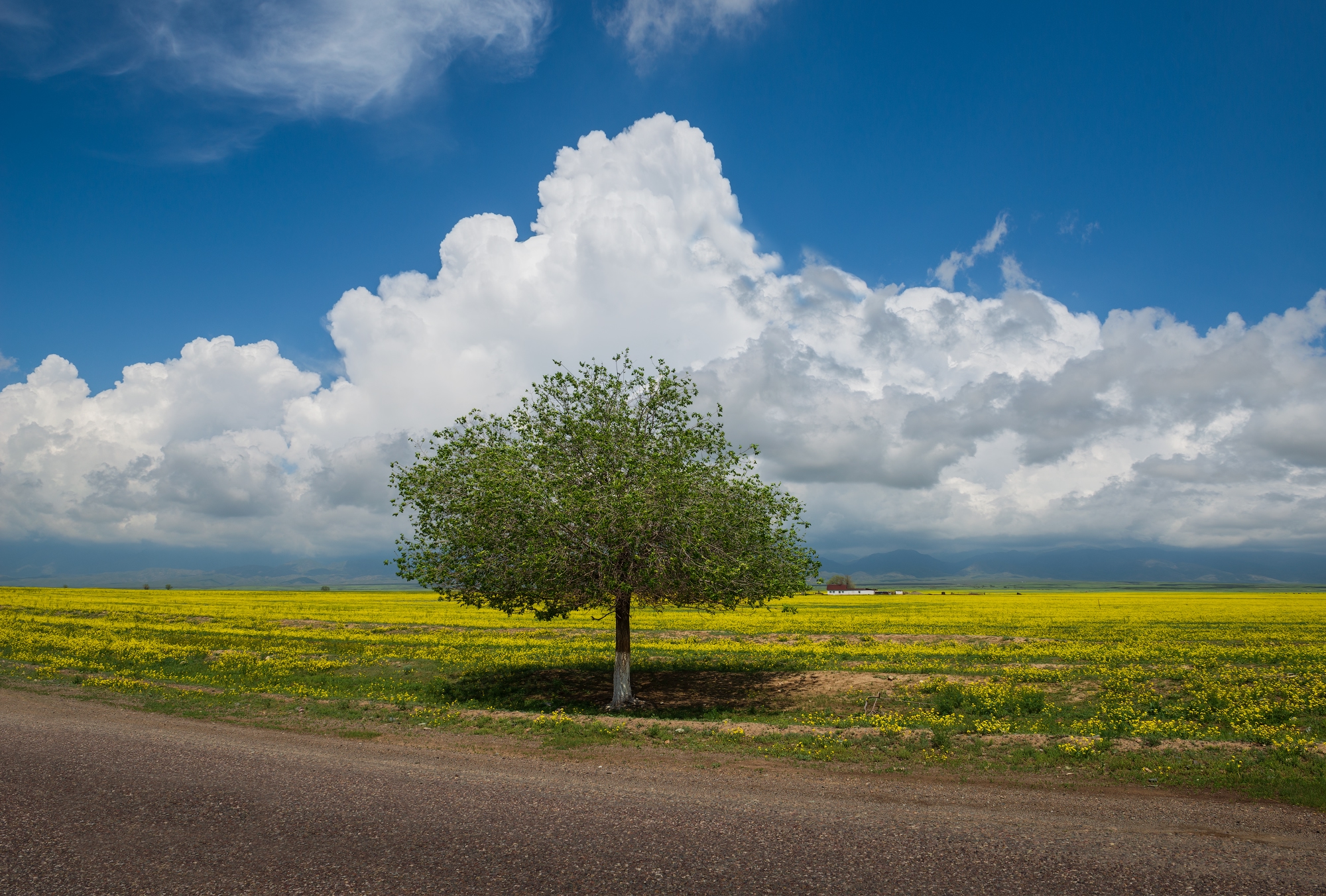 Фототур на Северный Тянь-Шань. Семиречье - жемчужина Казахстана. (25/126)
