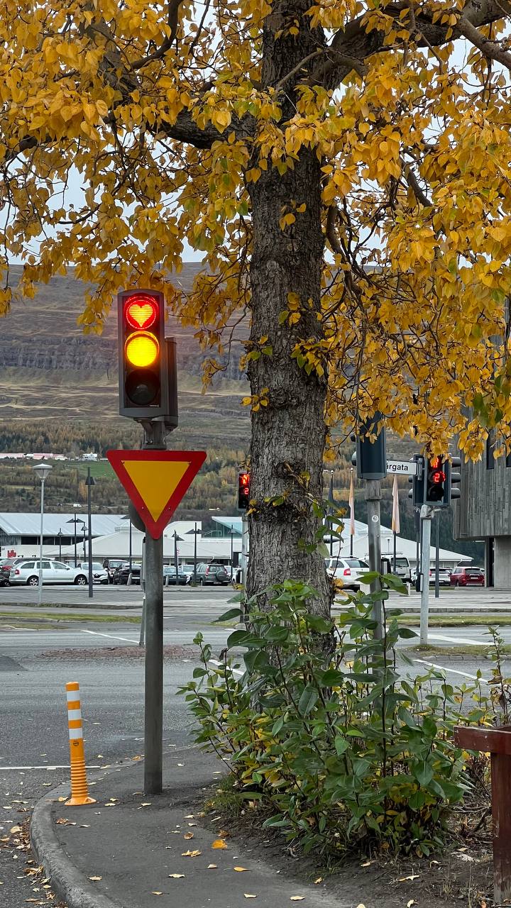 Исландия: вокруг острова (4/22)