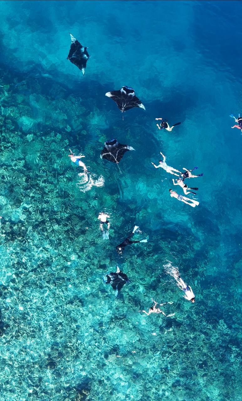 Тур на Мальдивы все включено в отеле на первой линии (10/20)