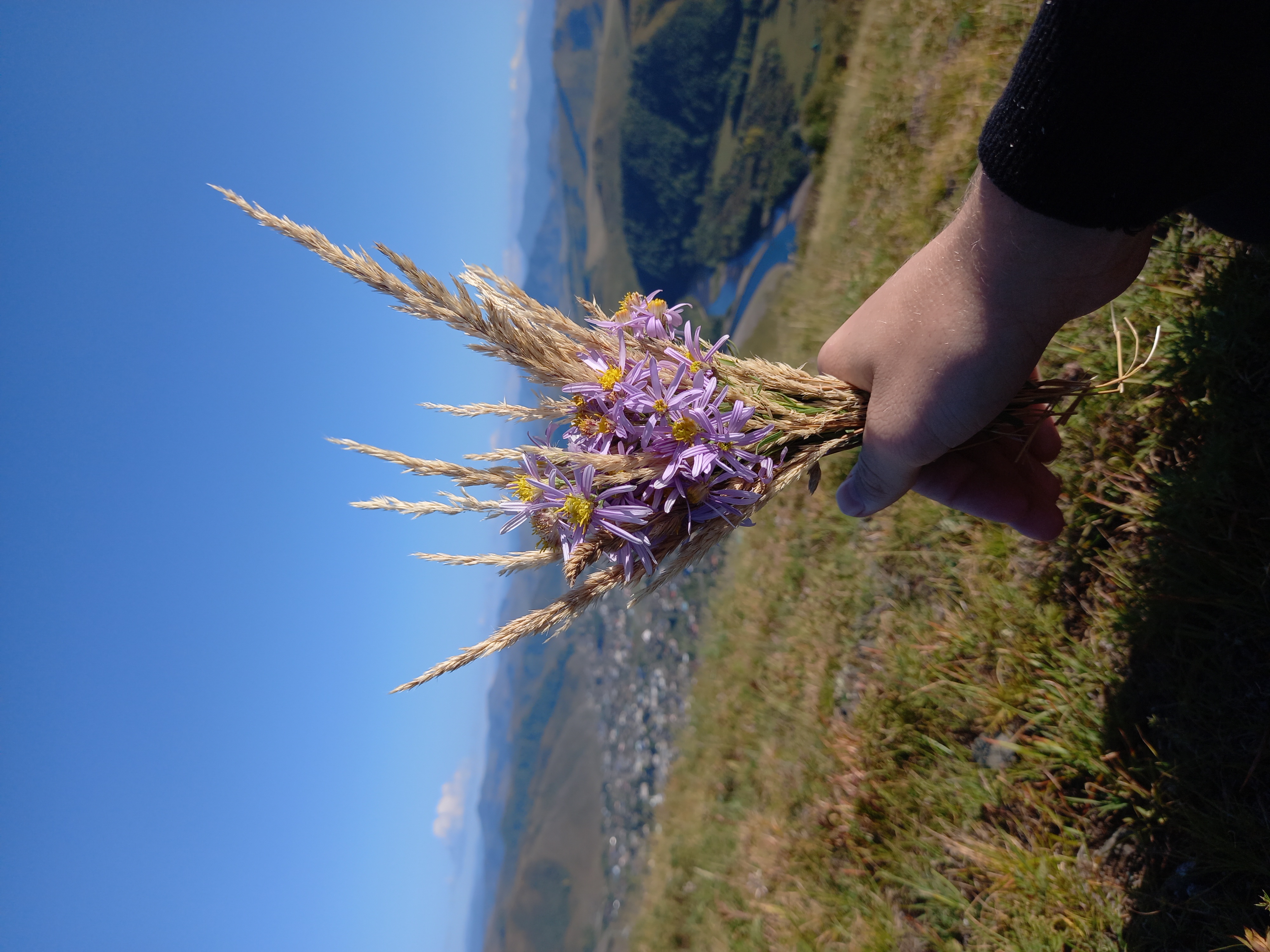 Алтай: Путешествие к нетронутым местам (всё включено!) (25/25)