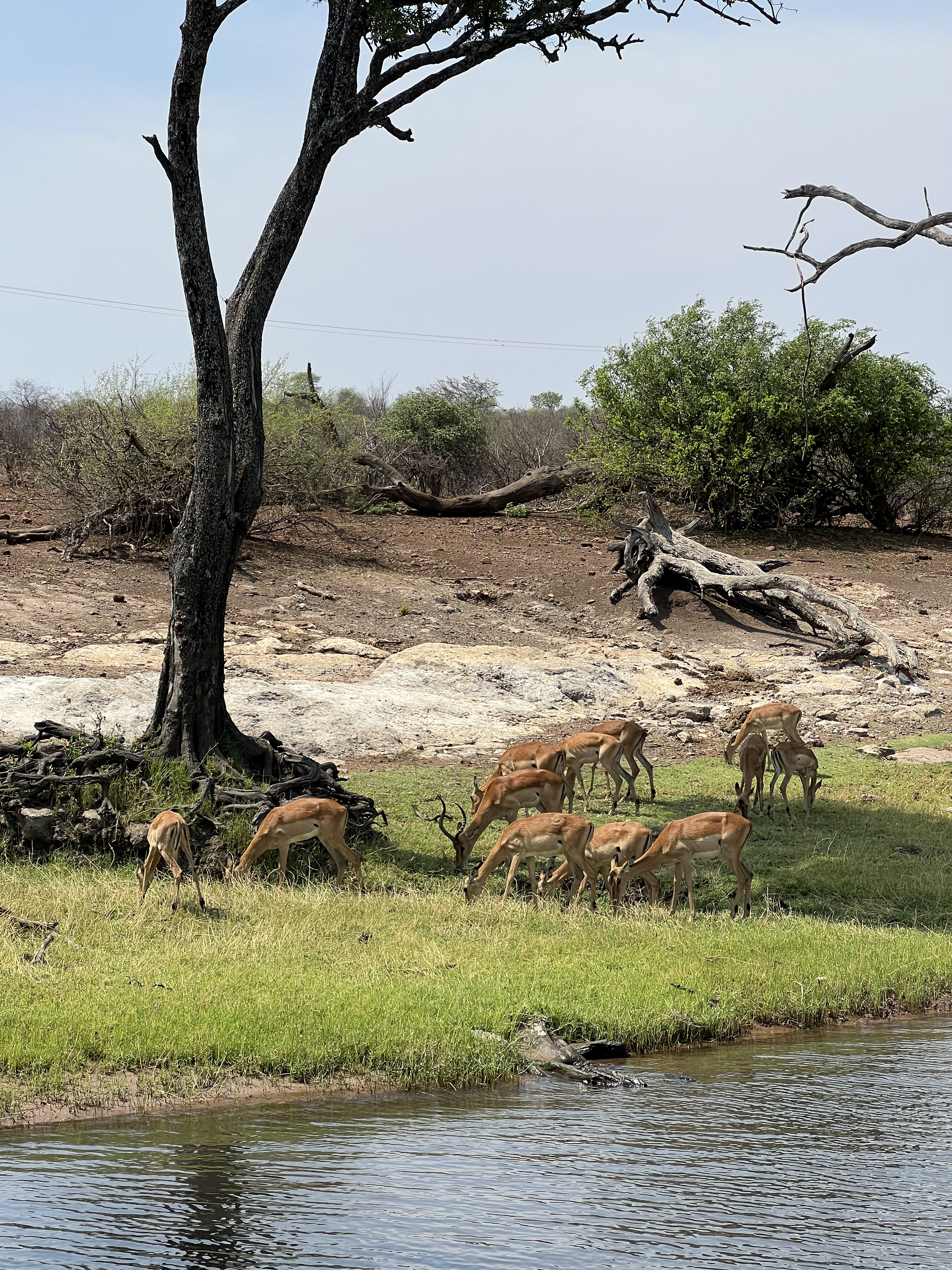 Водопад Виктория и Юар (7/28)