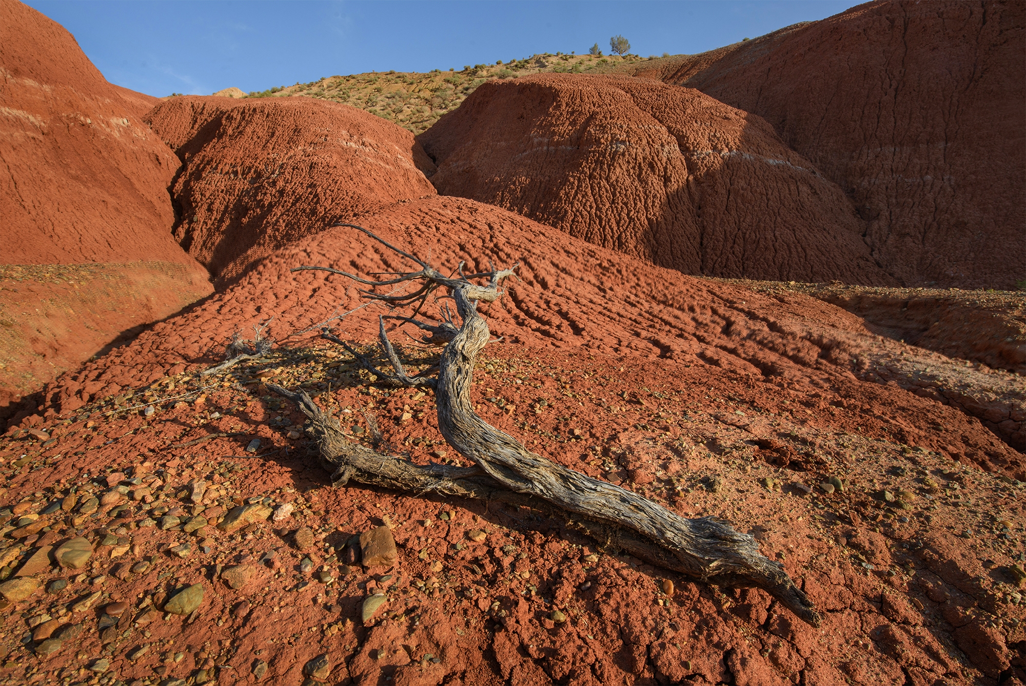 Фототур на Северный Тянь-Шань. Семиречье - жемчужина Казахстана. (22/126)