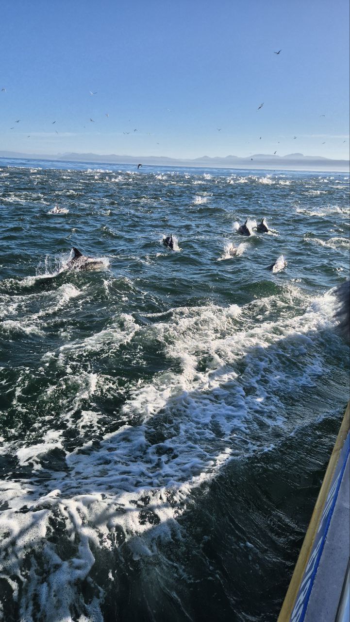 Водопад Виктория и Юар (13/28)