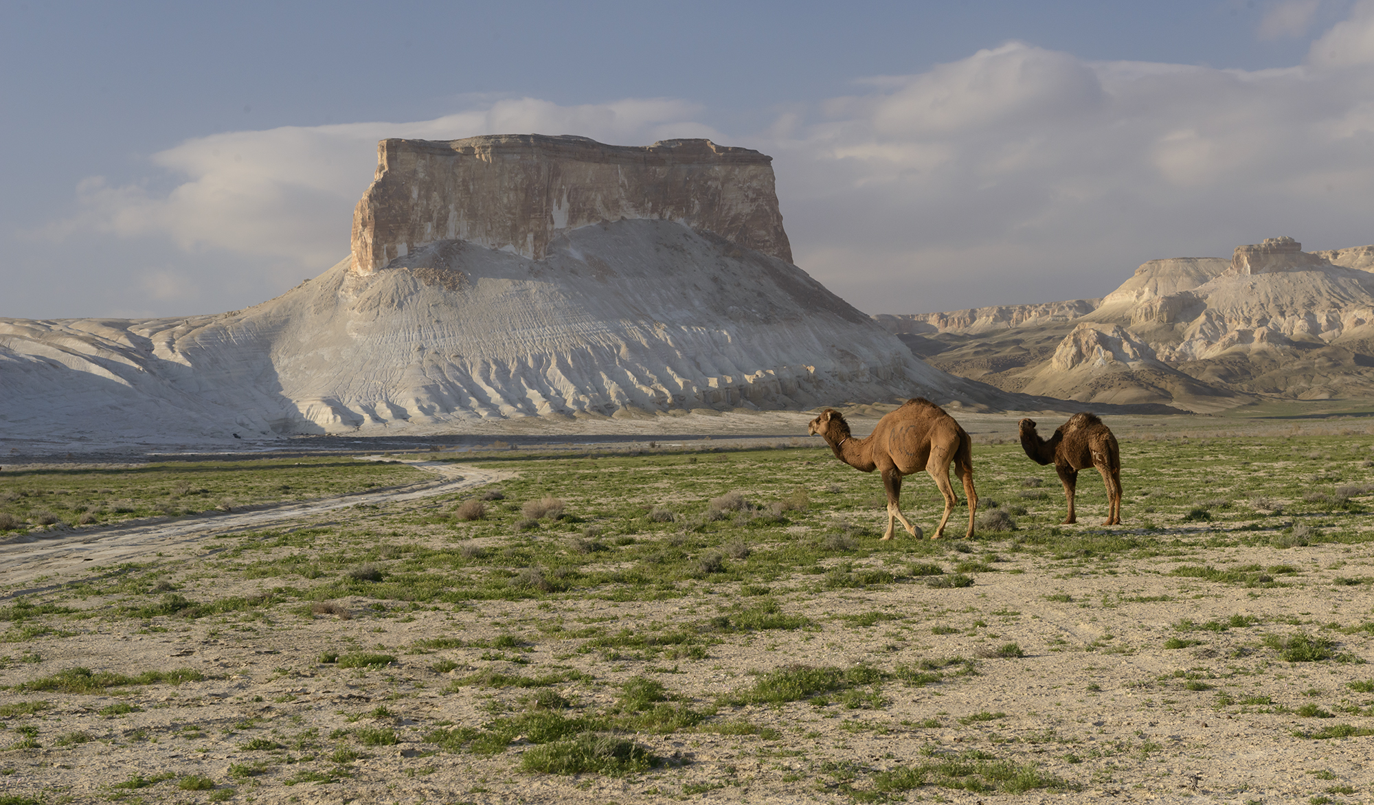 Фототур в Мангистау. Другая планета. (11/124)