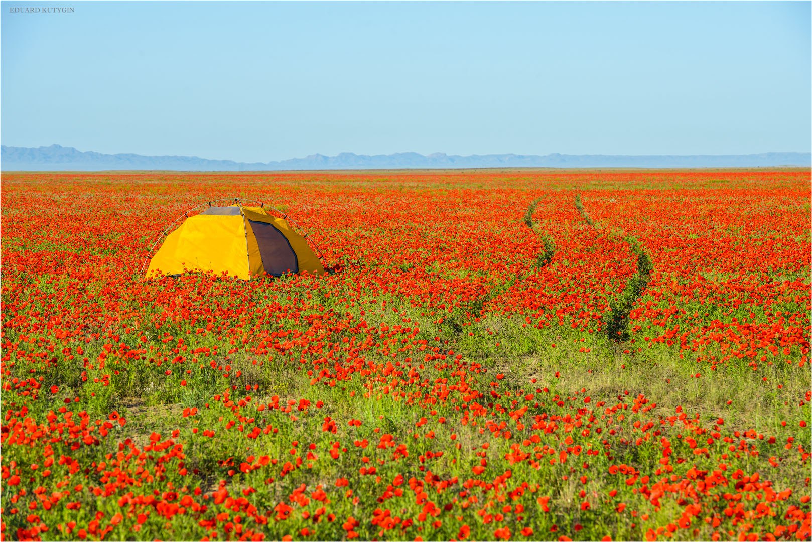 Фототур на Северный Тянь-Шань. Семиречье - жемчужина Казахстана. (28/126)
