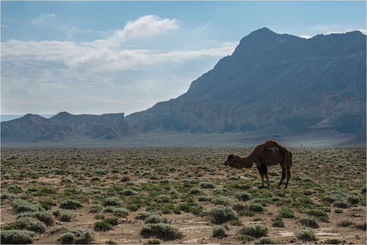 Фототур в Мангистау. Другая планета. (45/124)