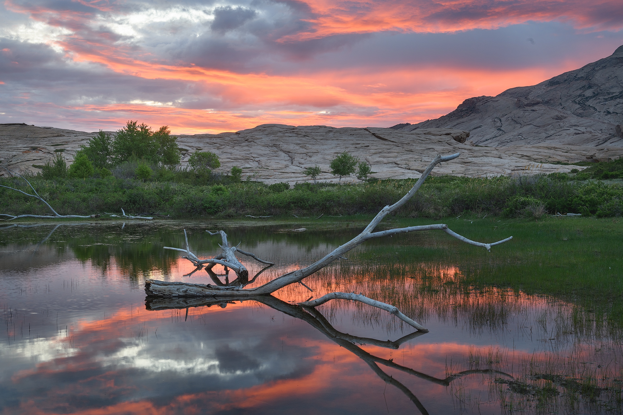 Фототур на Северный Тянь-Шань. Семиречье - жемчужина Казахстана. (47/126)