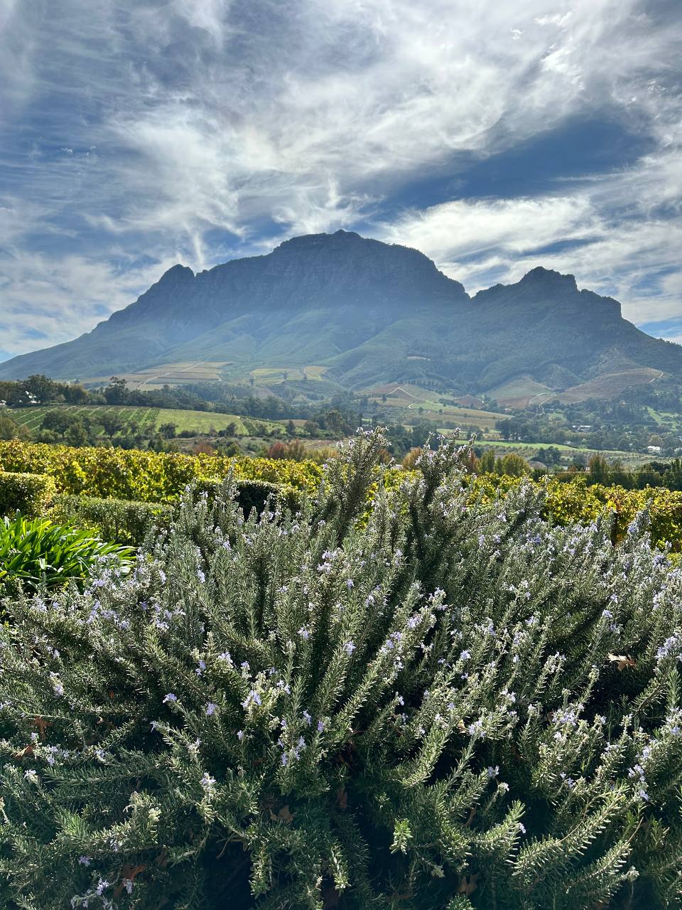 Водопад Виктория и Юар (16/28)