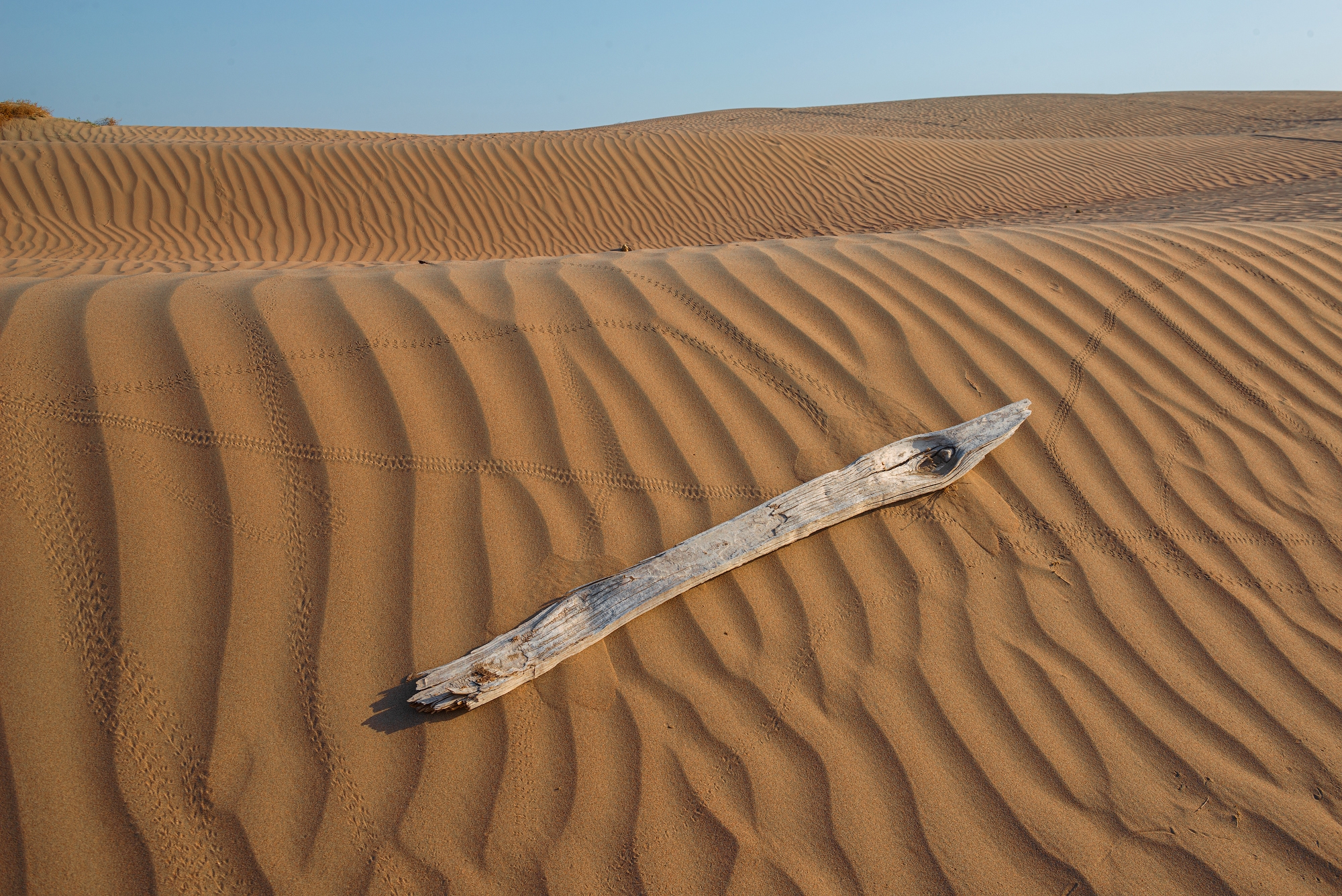 Фототур на Северный Тянь-Шань. Семиречье - жемчужина Казахстана. (68/126)