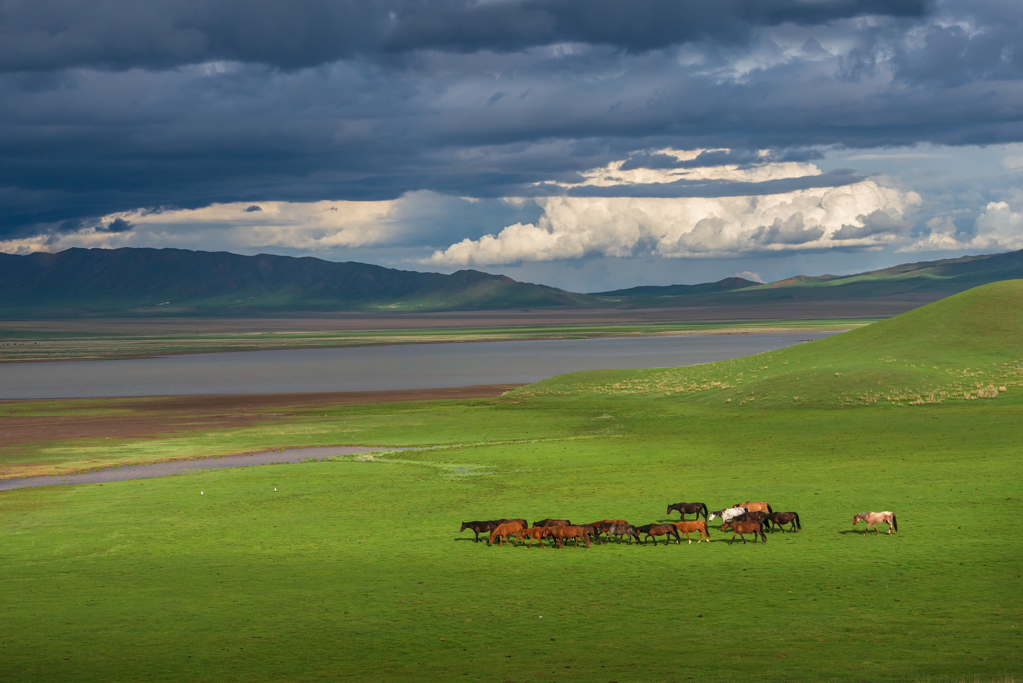 Фототур на Северный Тянь-Шань. Семиречье - жемчужина Казахстана. (76/126)