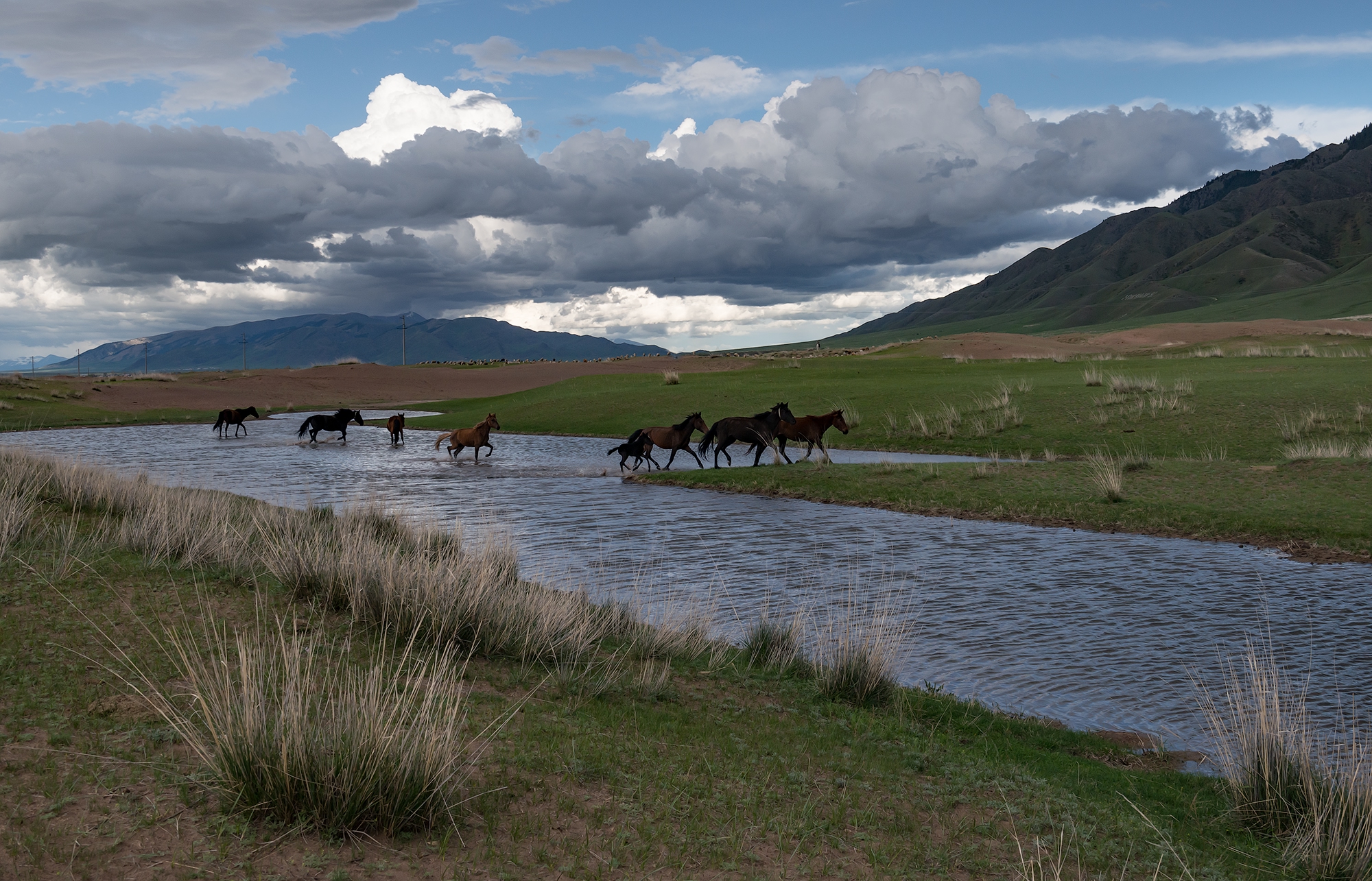 Фототур на Северный Тянь-Шань. Семиречье - жемчужина Казахстана. (63/126)