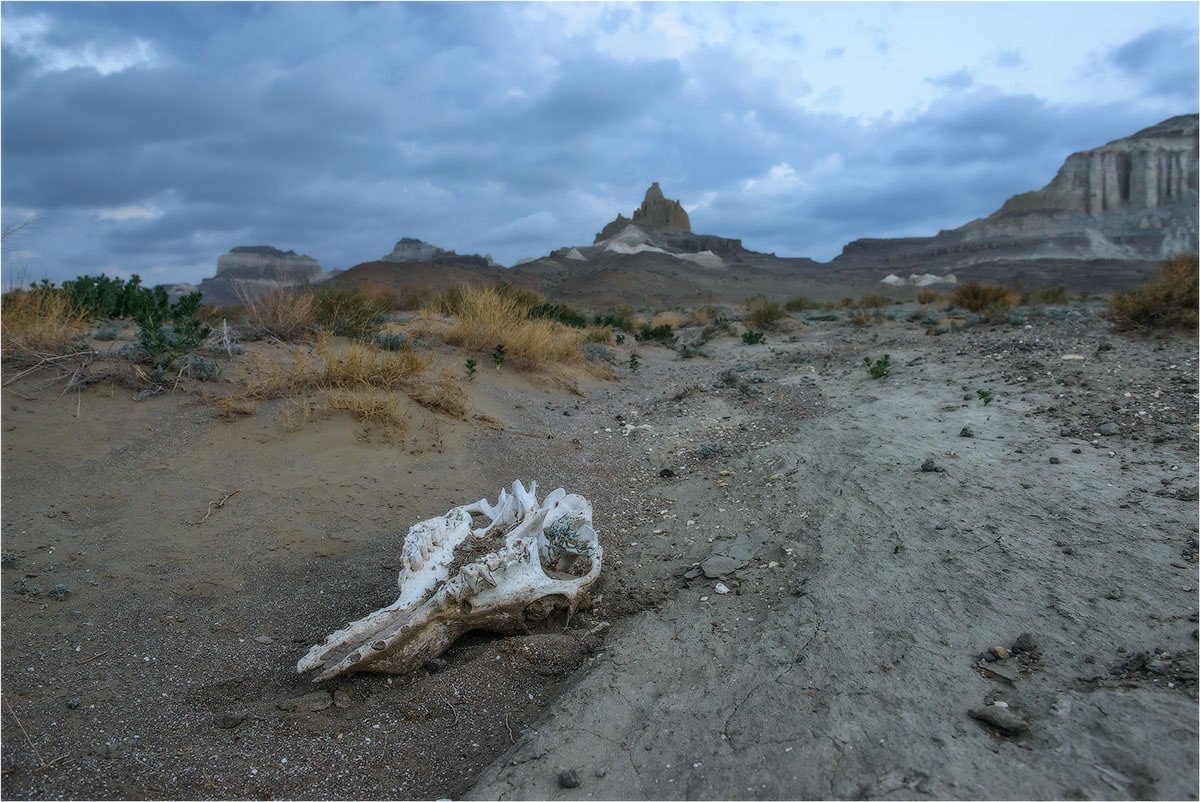 Фототур в Мангистау. Другая планета. (38/124)
