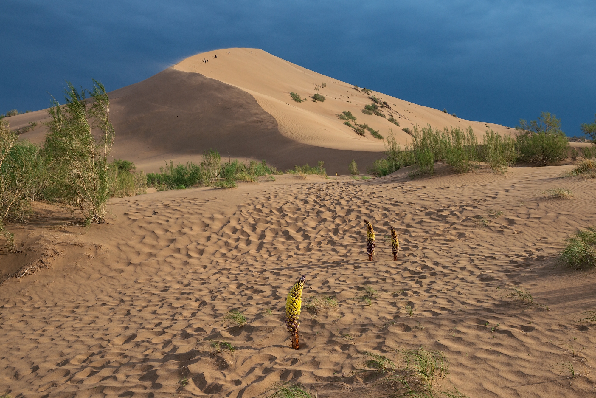 Фототур на Северный Тянь-Шань. Семиречье - жемчужина Казахстана. (55/126)