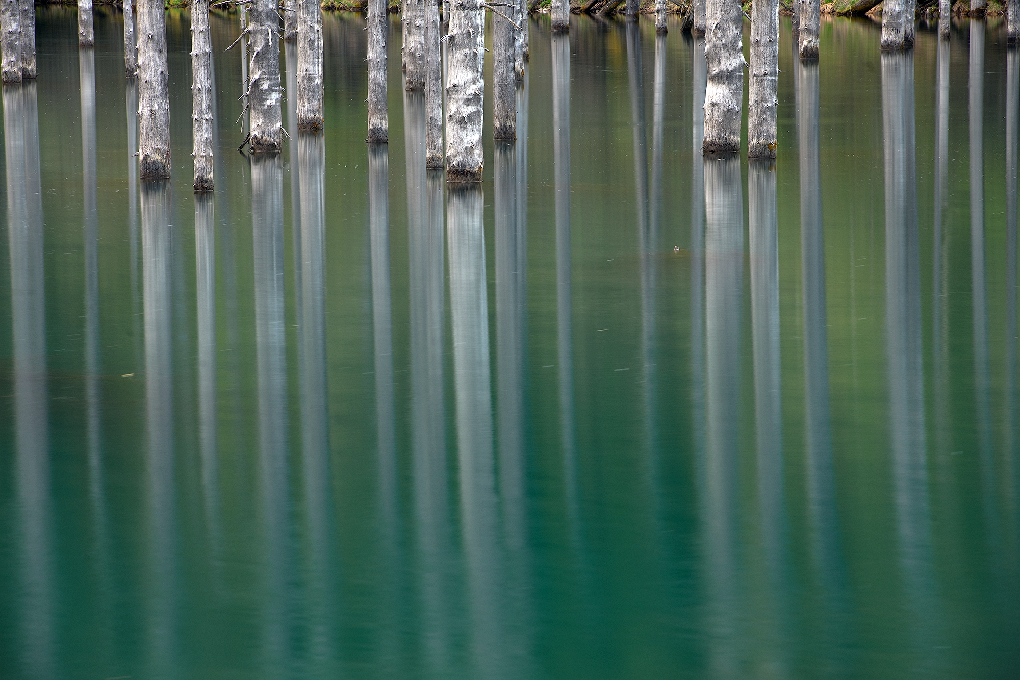 Фототур на Северный Тянь-Шань. Семиречье - жемчужина Казахстана. (37/126)