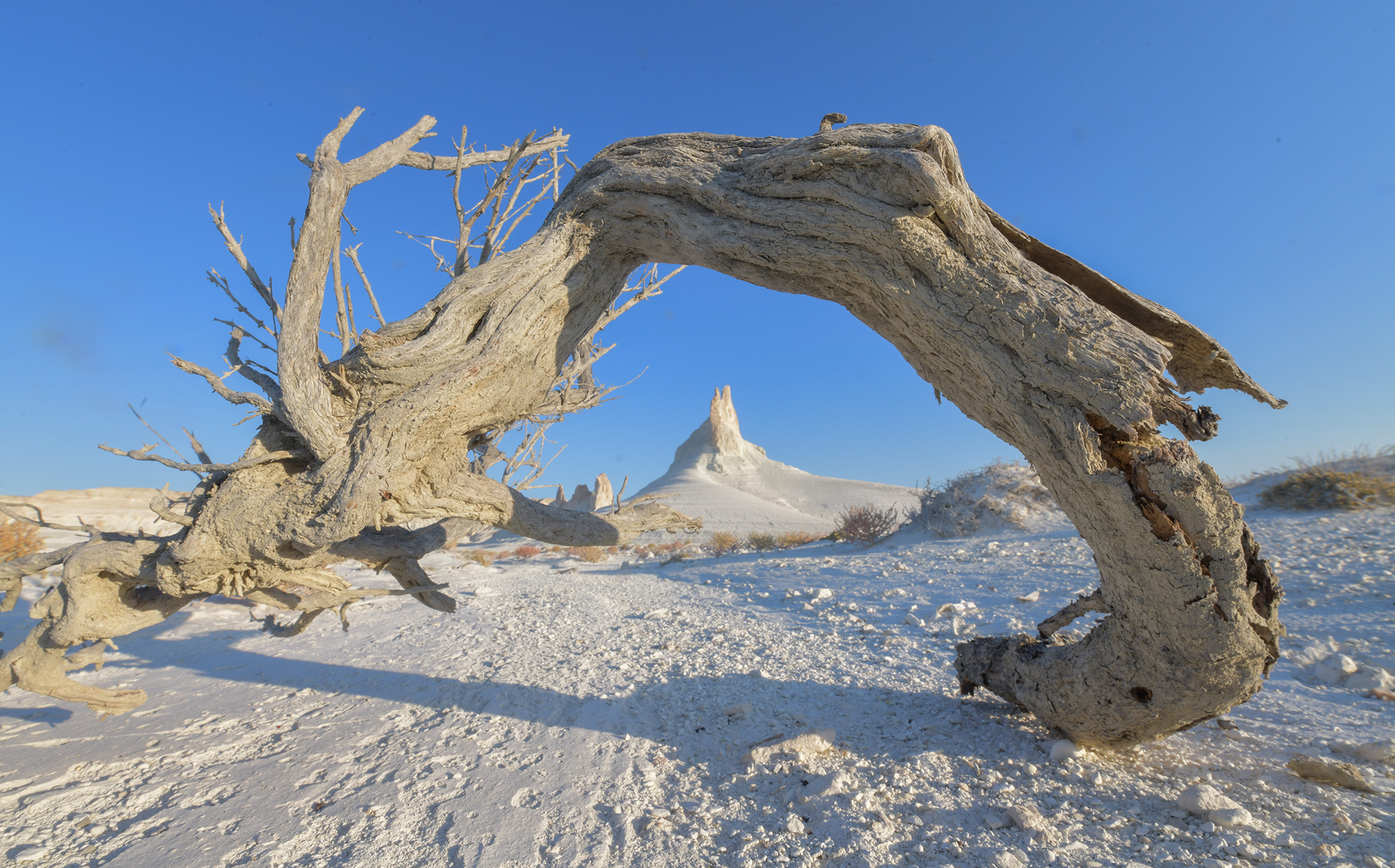 Фототур в Мангистау. Другая планета. (73/124)