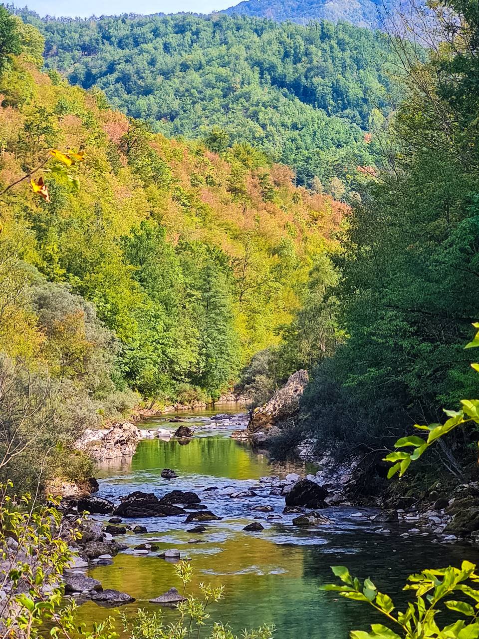 Круиз на яхте по уютной вкусной средневековой Черногории (14/15)