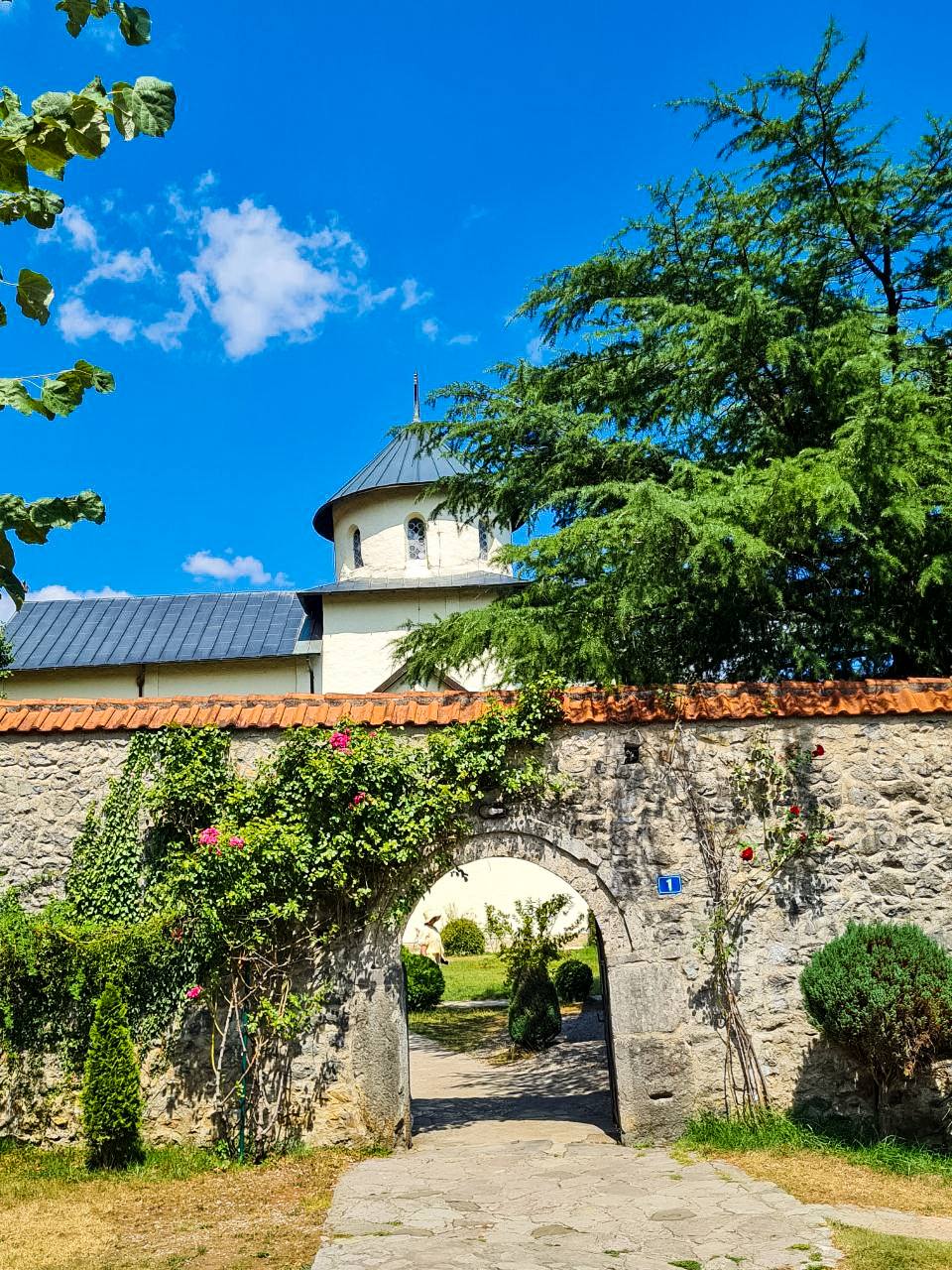 Круиз на яхте по уютной вкусной средневековой Черногории (5/15)