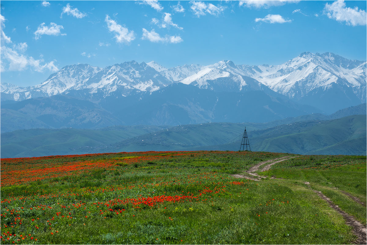 Фототур на Северный Тянь-Шань. Семиречье - жемчужина Казахстана. (119/126)