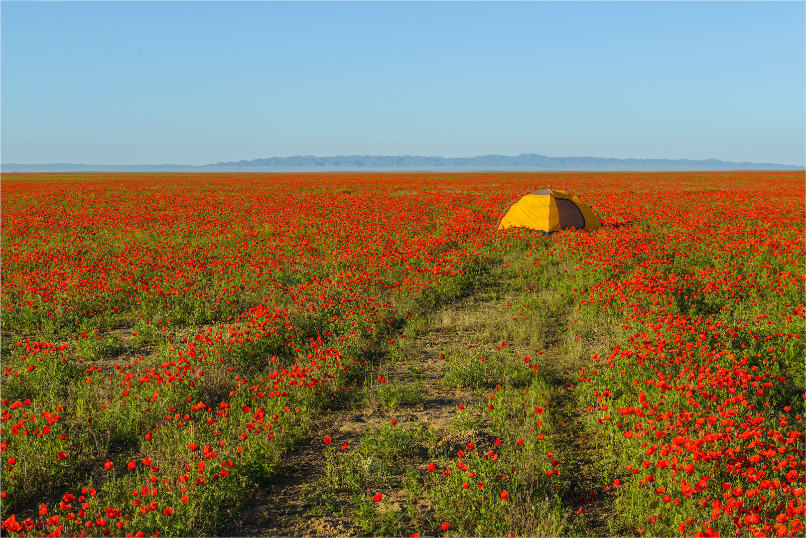 Фототур на Северный Тянь-Шань. Семиречье - жемчужина Казахстана. (116/126)