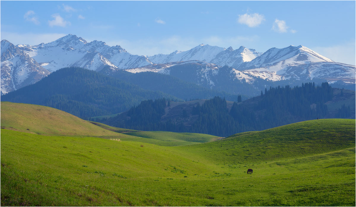 Фототур на Северный Тянь-Шань. Семиречье - жемчужина Казахстана. (91/126)