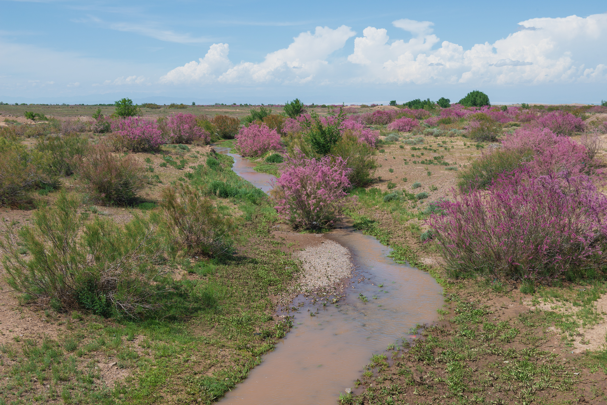 Фототур на Северный Тянь-Шань. Семиречье - жемчужина Казахстана. (123/126)