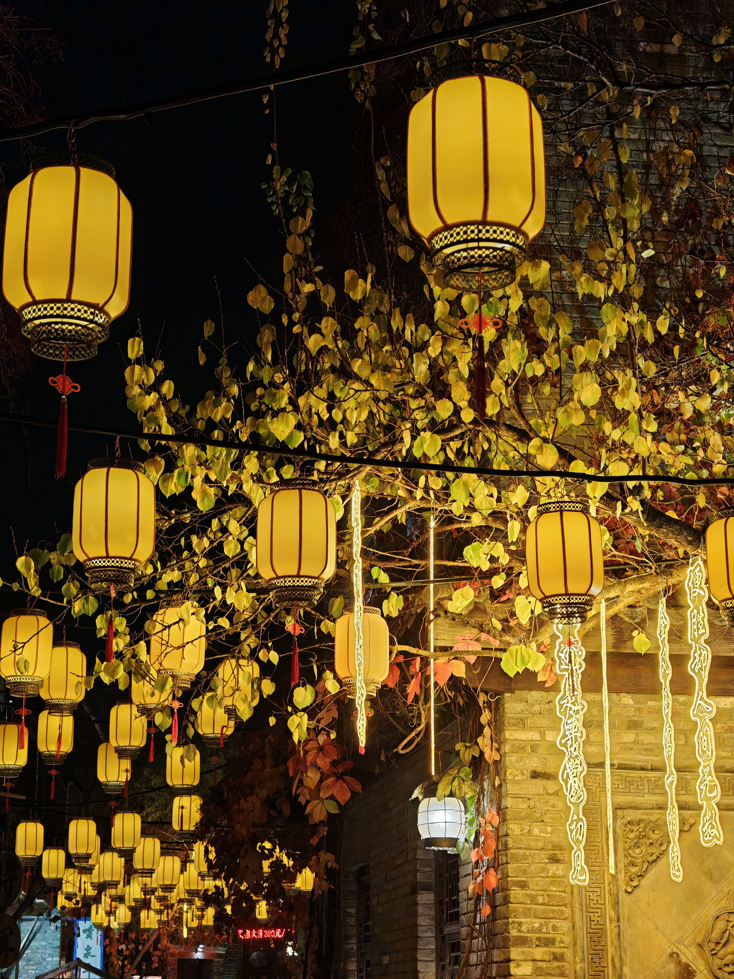 Пекин зимний: Великая стена, Губэй, Чэндэ и горы Иньшань (15/39)