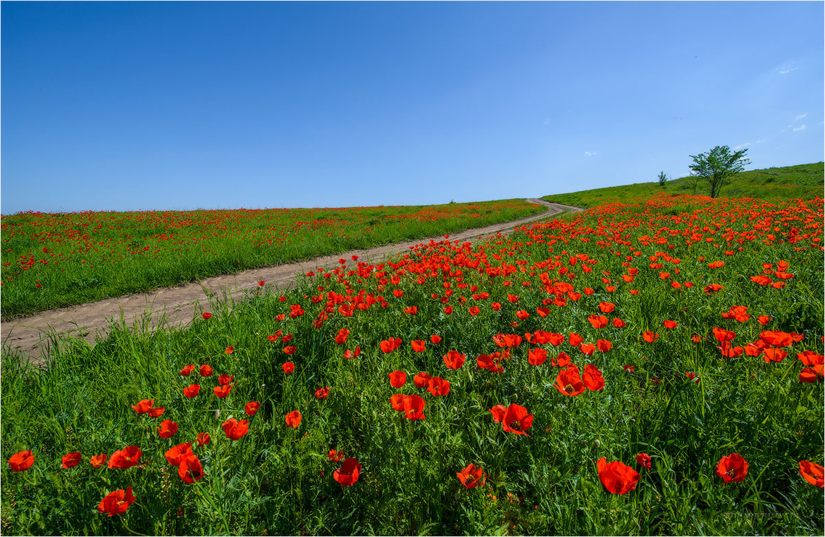 Фототур на Северный Тянь-Шань. Семиречье - жемчужина Казахстана. (118/126)