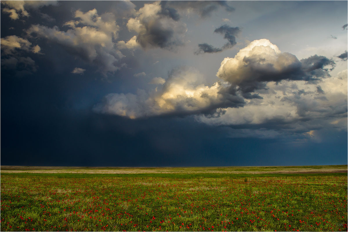 Фототур на Северный Тянь-Шань. Семиречье - жемчужина Казахстана. (117/126)
