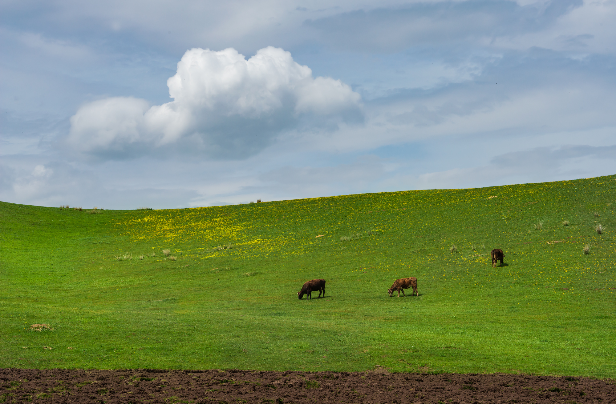 Фототур на Северный Тянь-Шань. Семиречье - жемчужина Казахстана. (81/126)