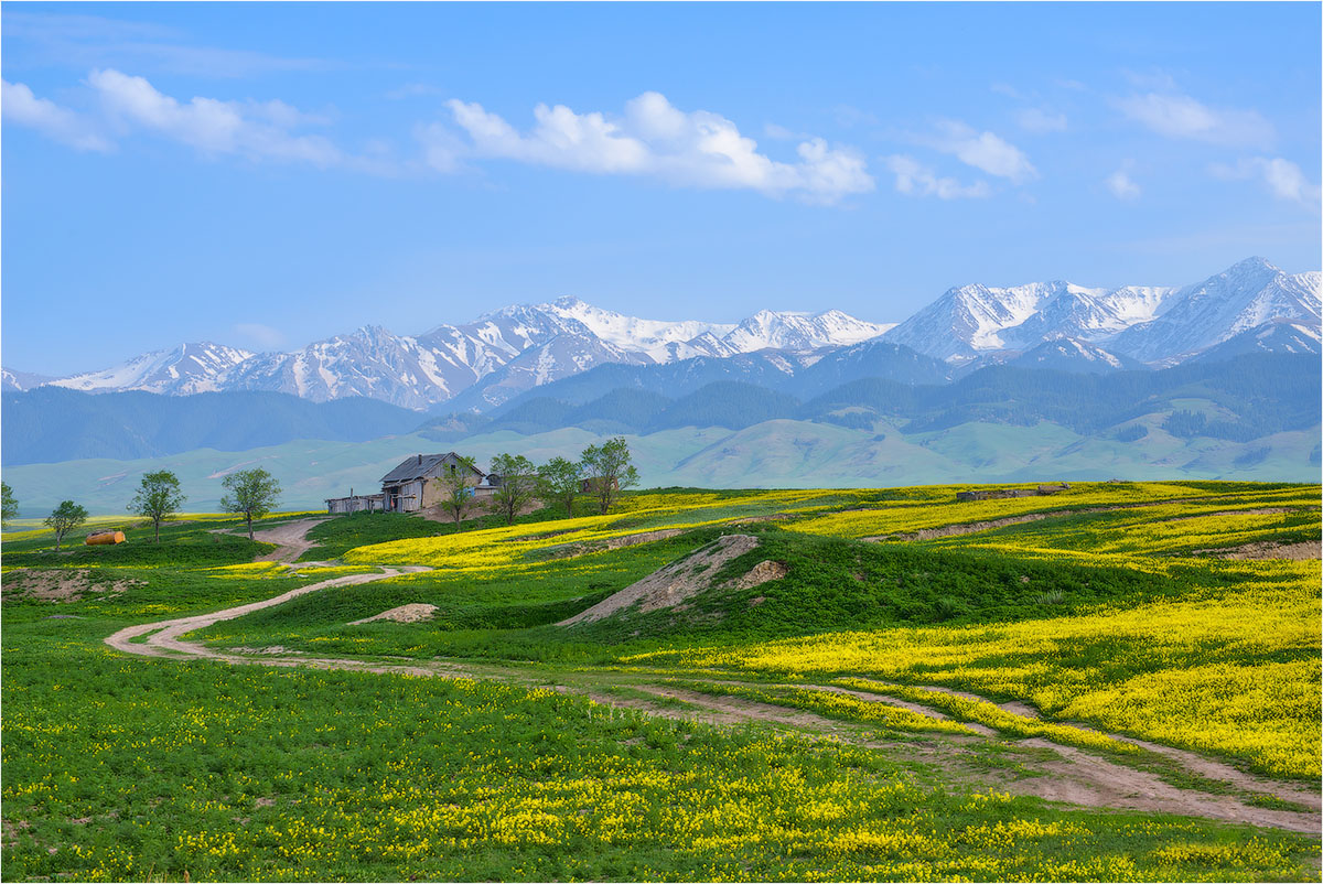 Фототур на Северный Тянь-Шань. Семиречье - жемчужина Казахстана. (92/126)