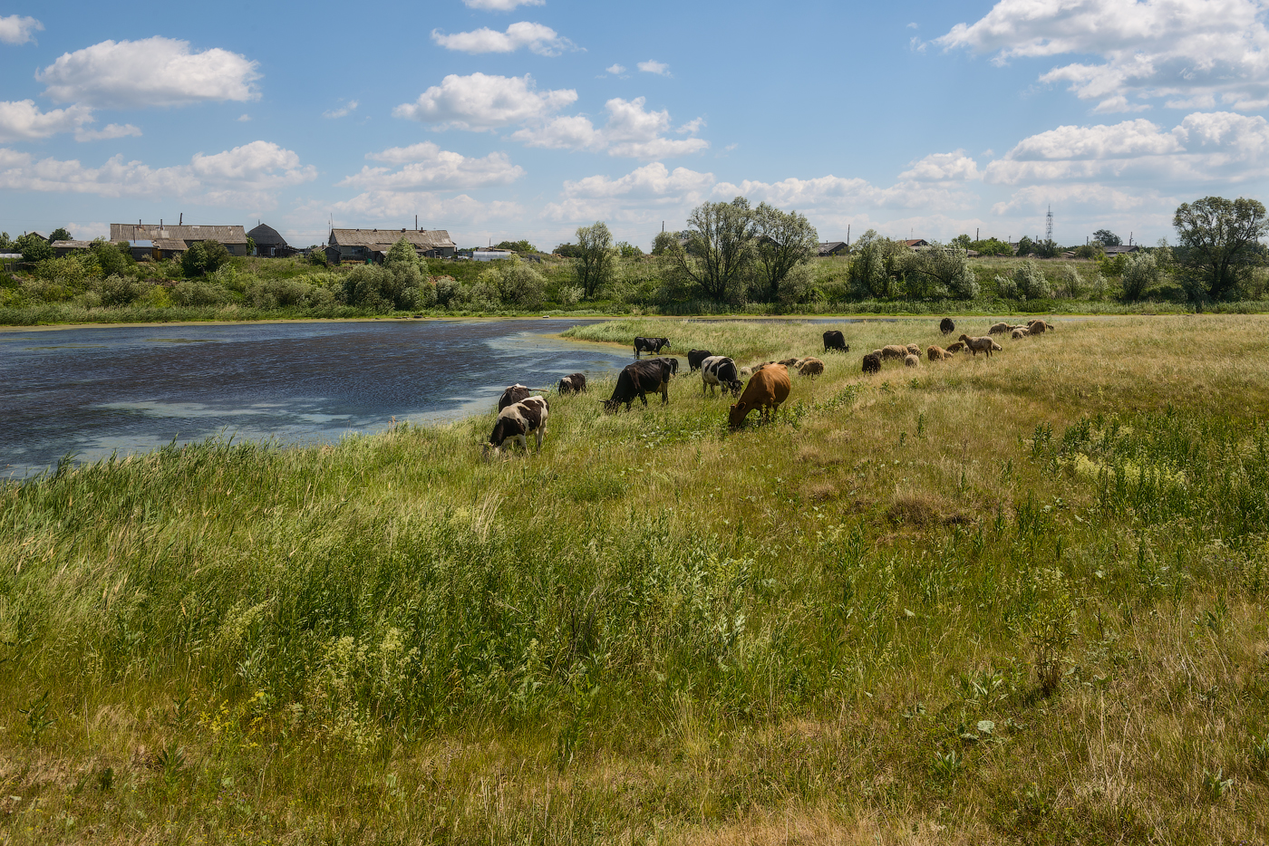 Фототур на Северный Тянь-Шань. Семиречье - жемчужина Казахстана. (125/126)
