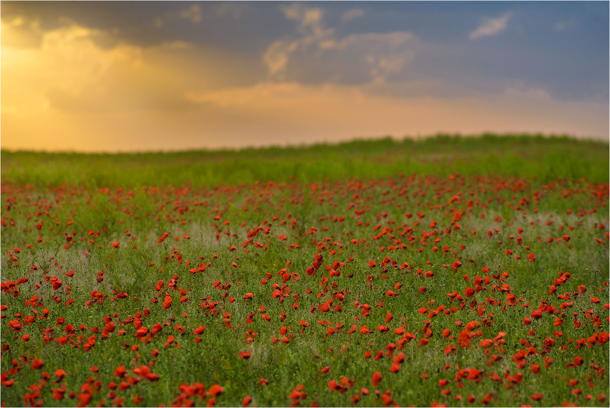 Фототур на Северный Тянь-Шань. Семиречье - жемчужина Казахстана. (87/126)