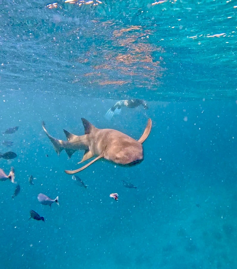 Премиальный ретрит на Мальдивы (20/32)