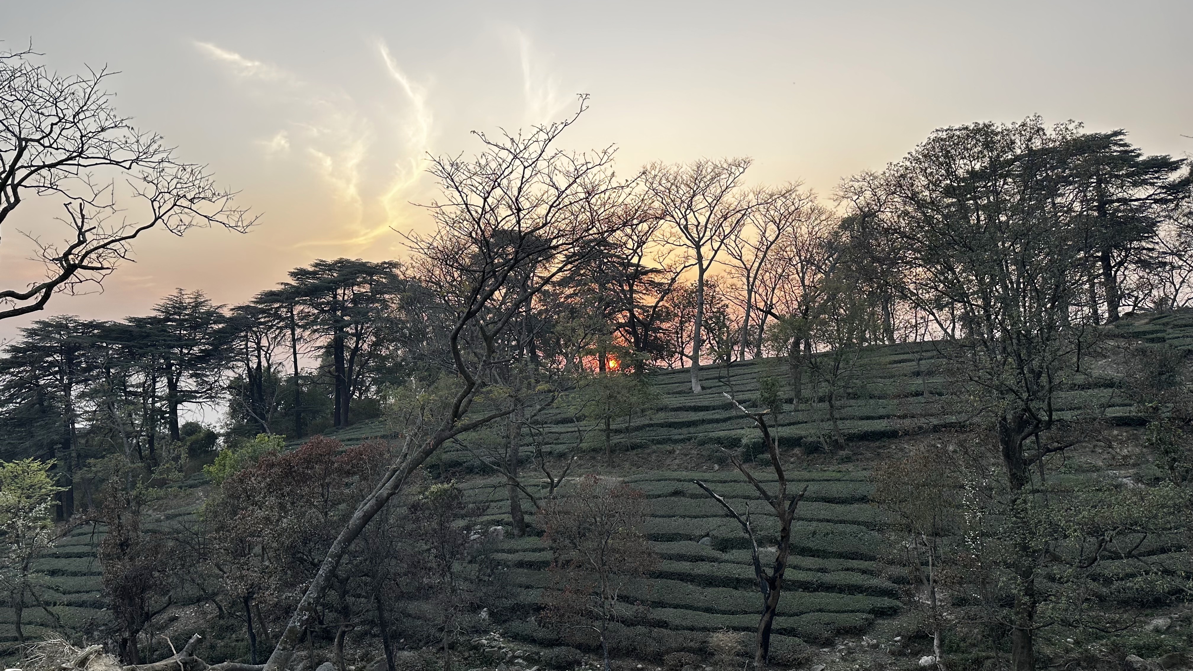 Гималаи: встреча с Далай Ламой, Рерихи и свое Шале (3/30)