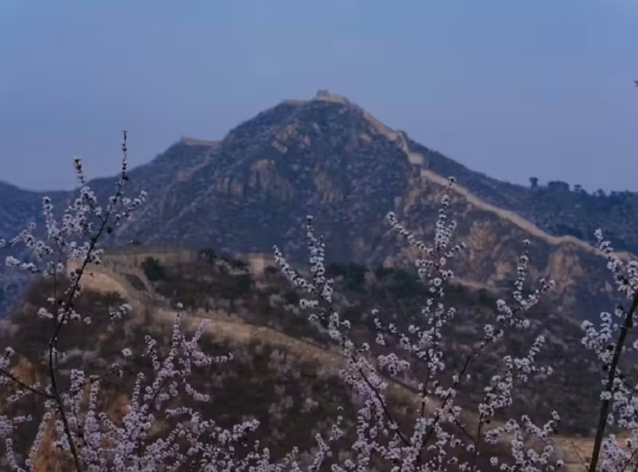 Пекин зимний: Великая стена, Губэй, Чэндэ и горы Иньшань (22/39)