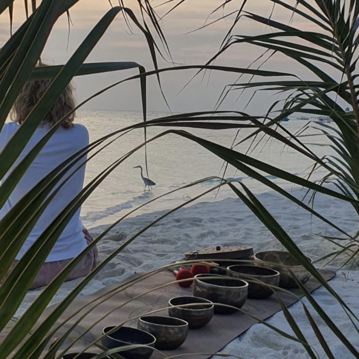 Мальдивы - Новогодний  Ретрит (21/28)