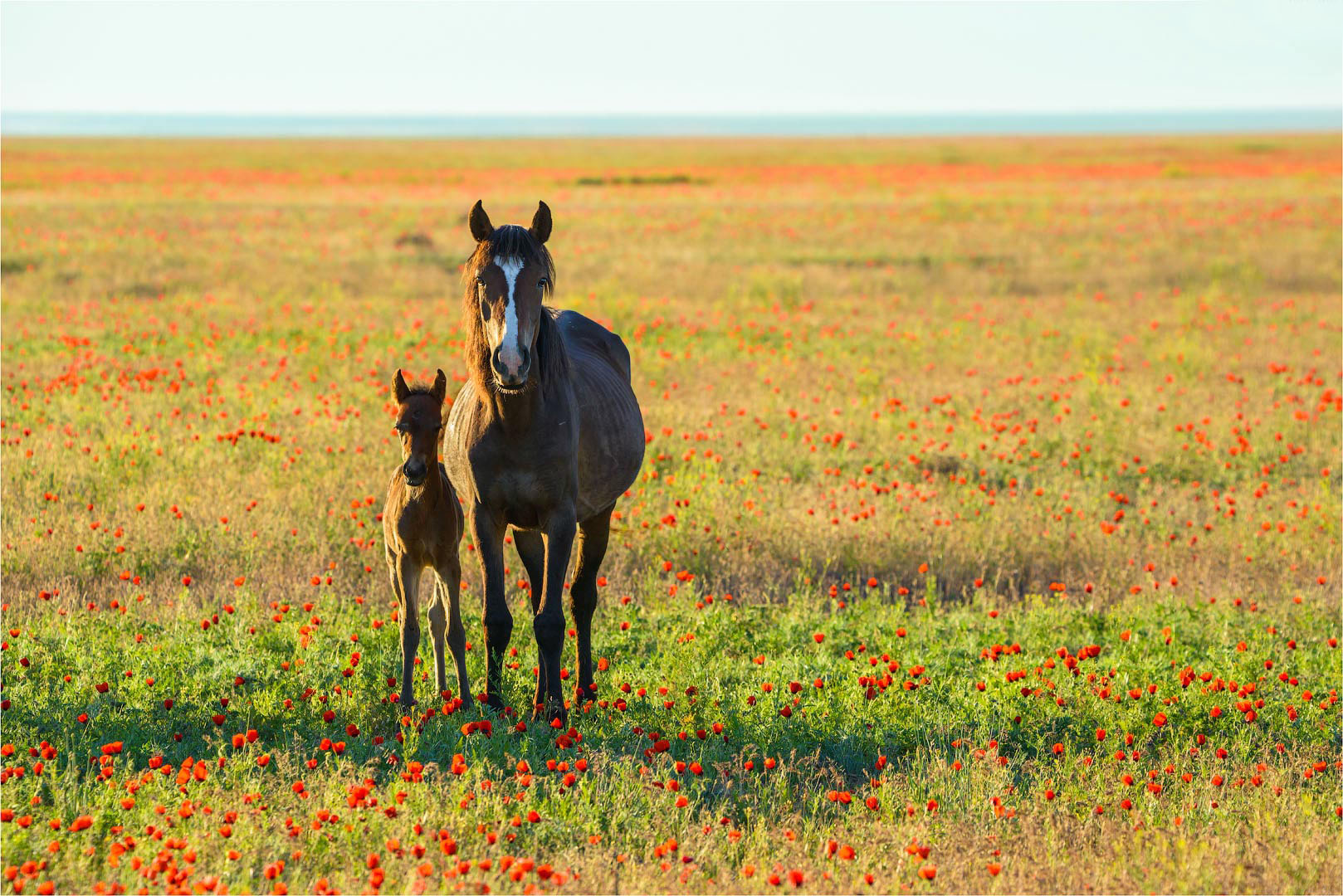 Фототур на Северный Тянь-Шань. Семиречье - жемчужина Казахстана. (115/126)