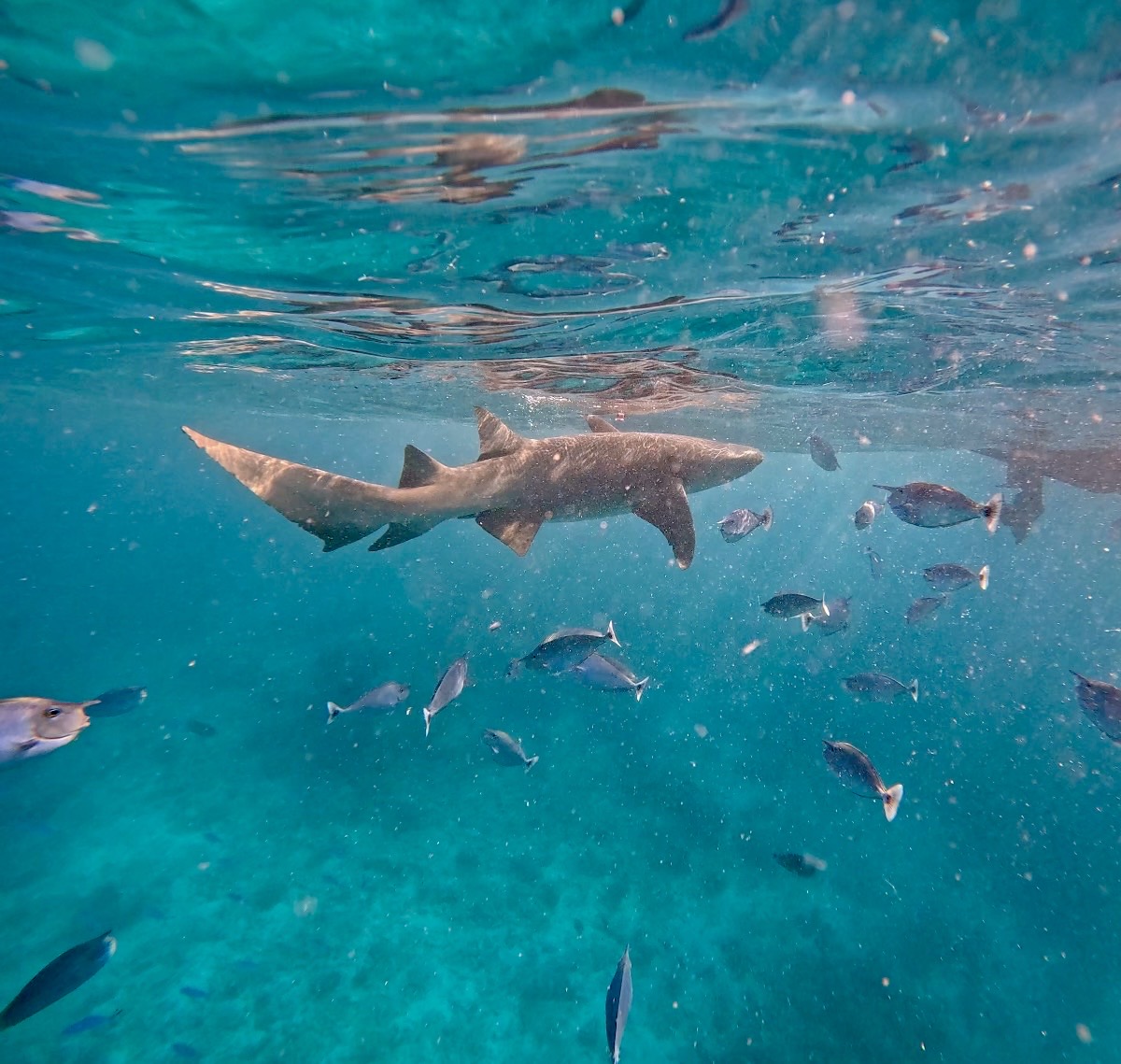 Премиальный ретрит на Мальдивы (21/32)