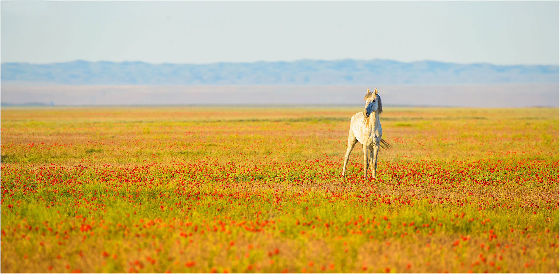 Фототур на Северный Тянь-Шань. Семиречье - жемчужина Казахстана. (86/126)