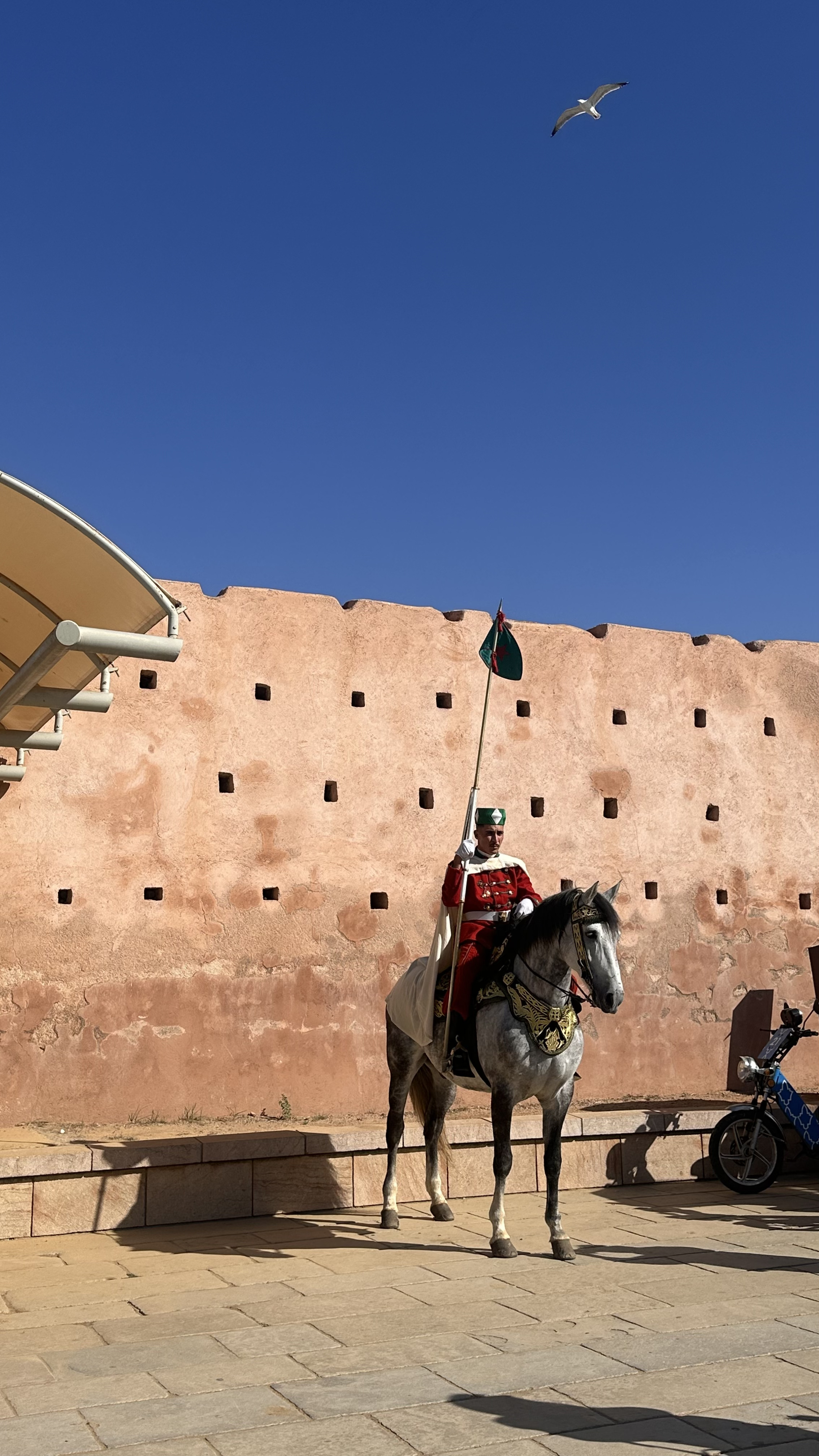 Увидеть Весь Марокко За 10 Дней (63/109)