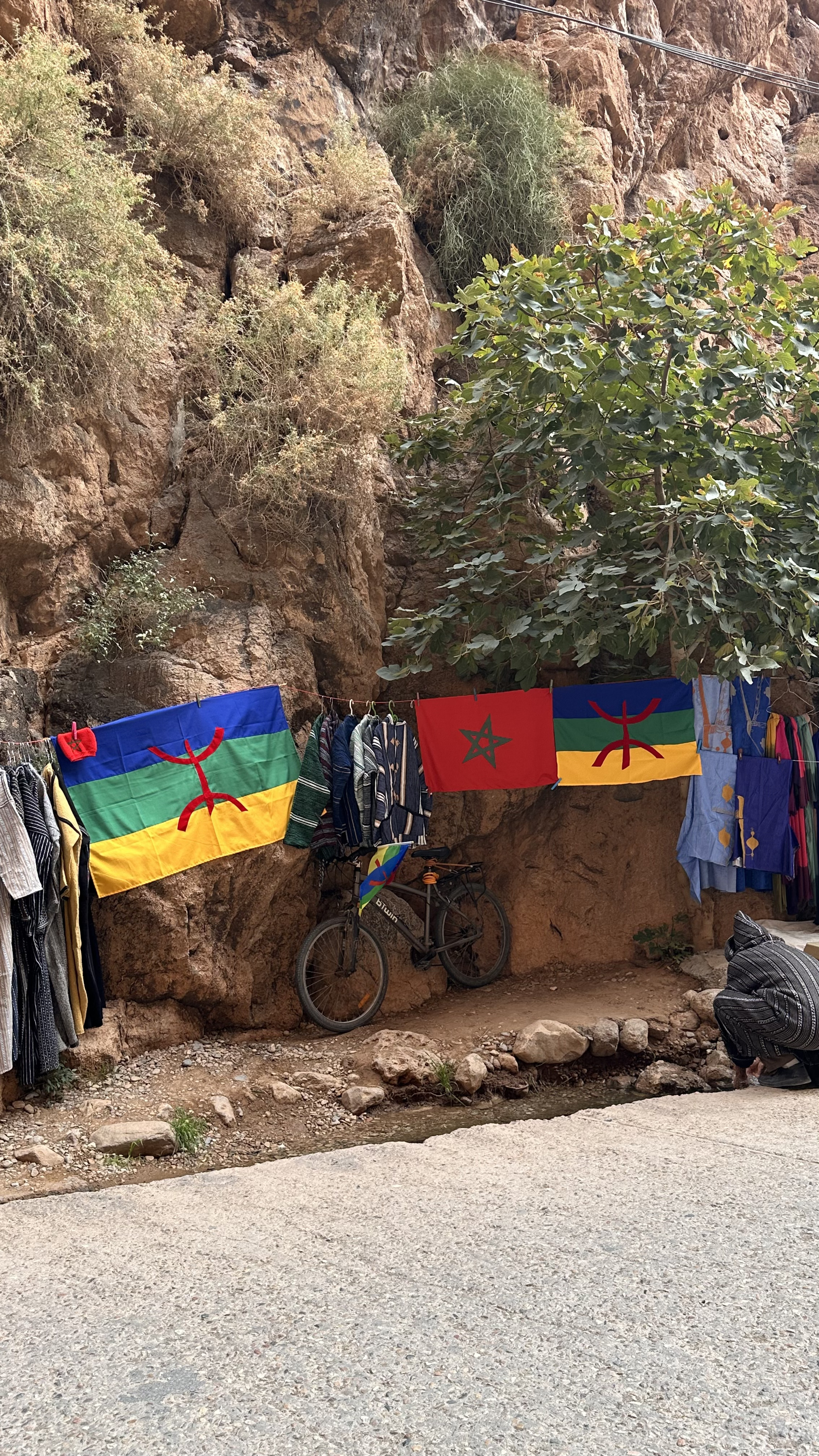 Увидеть Весь Марокко За 10 Дней (9/109)