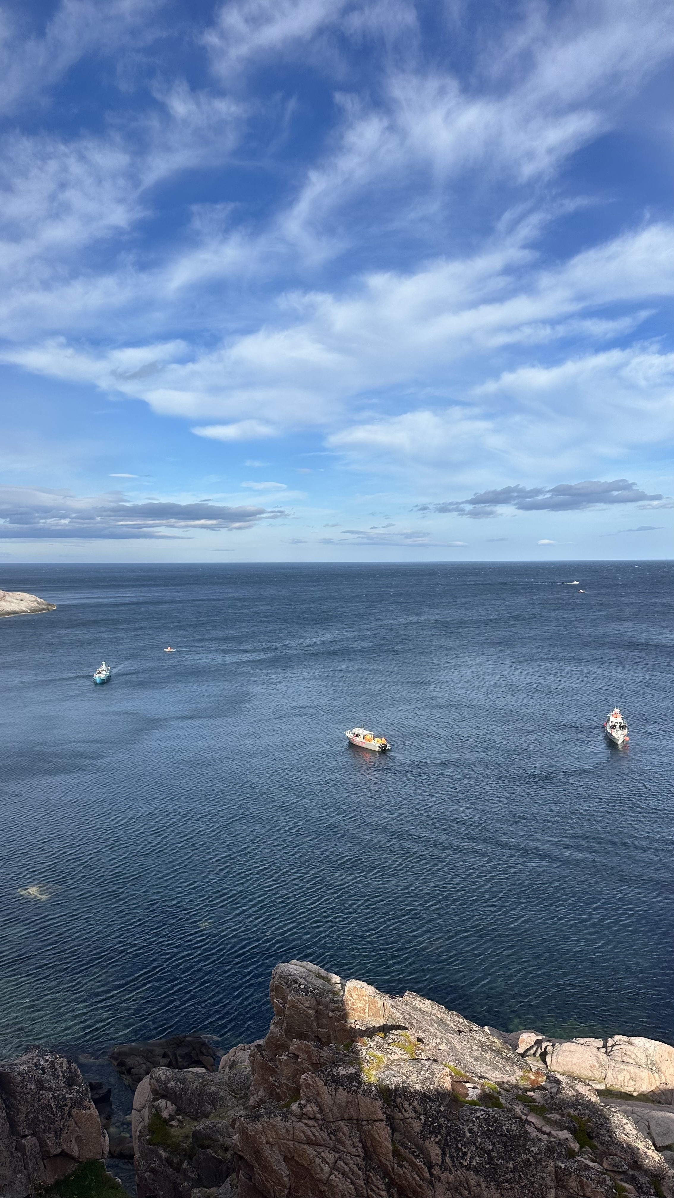 Териберка, Киты, Крабы, Баня. Всё Включено (29/38)