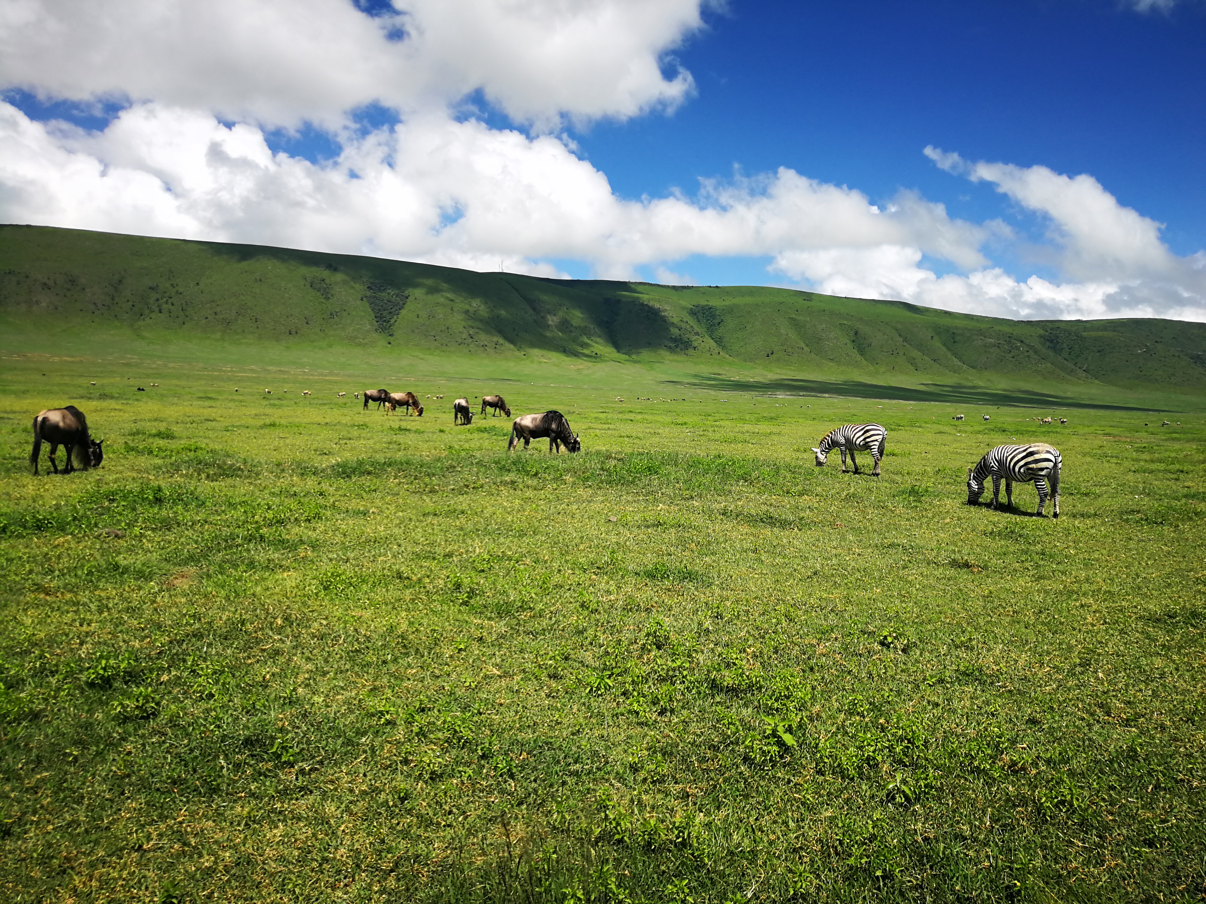 Великая миграция и вся Большая пятерка в лучших сафари Кении, Танзании и Занзибара (19/40)