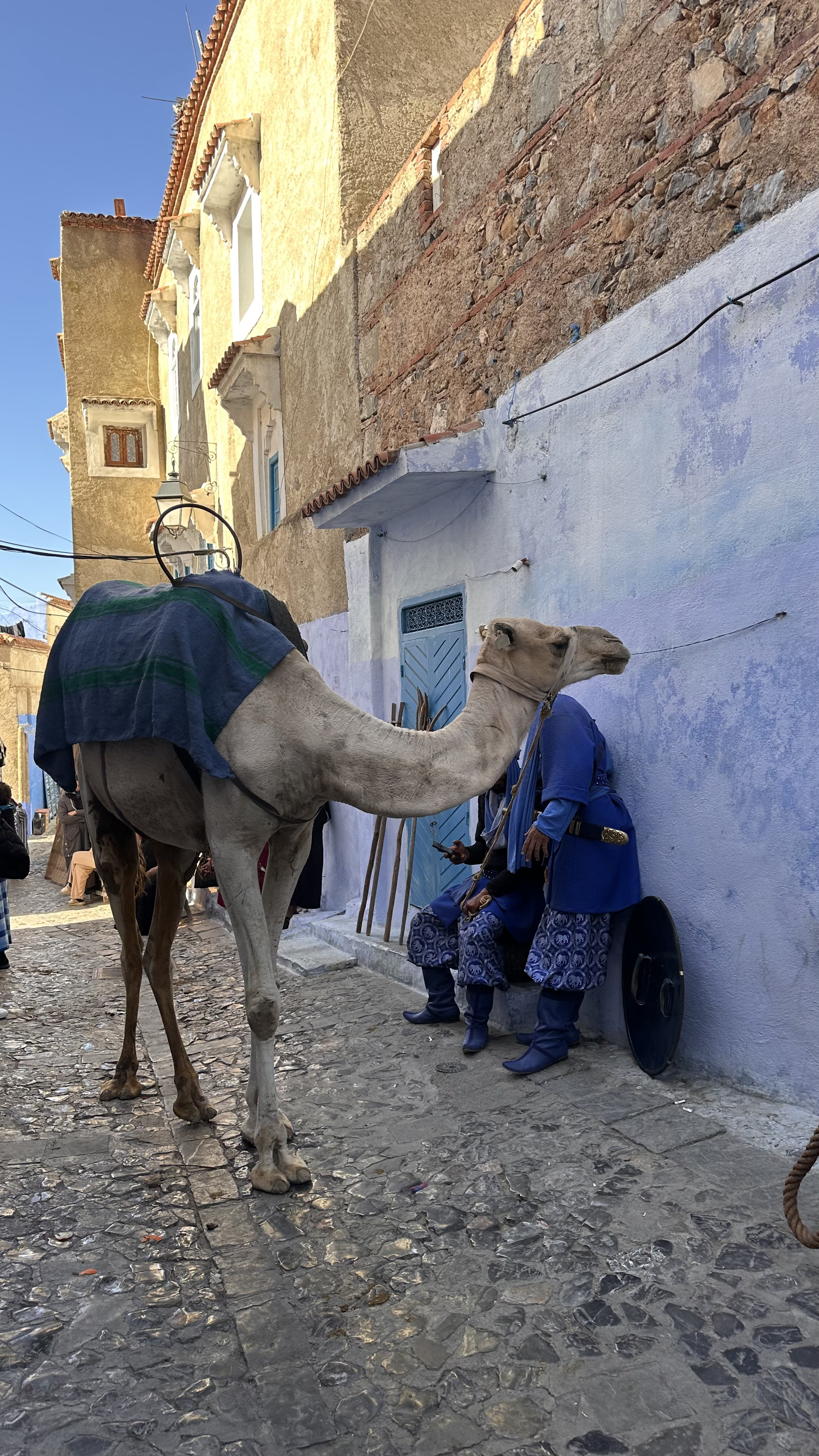 Увидеть Весь Марокко За 10 Дней (70/109)