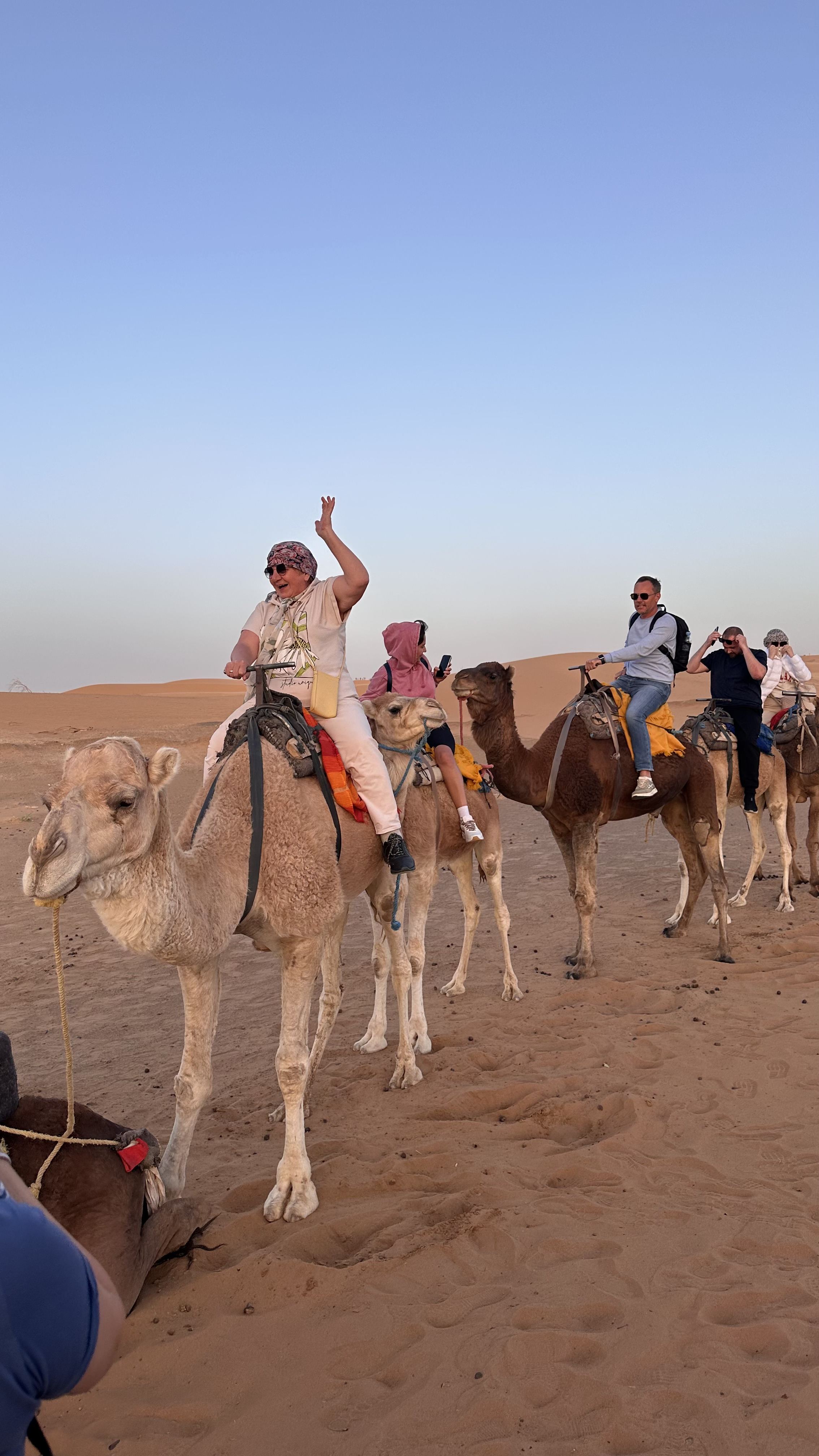 Увидеть Весь Марокко За 10 Дней (92/109)