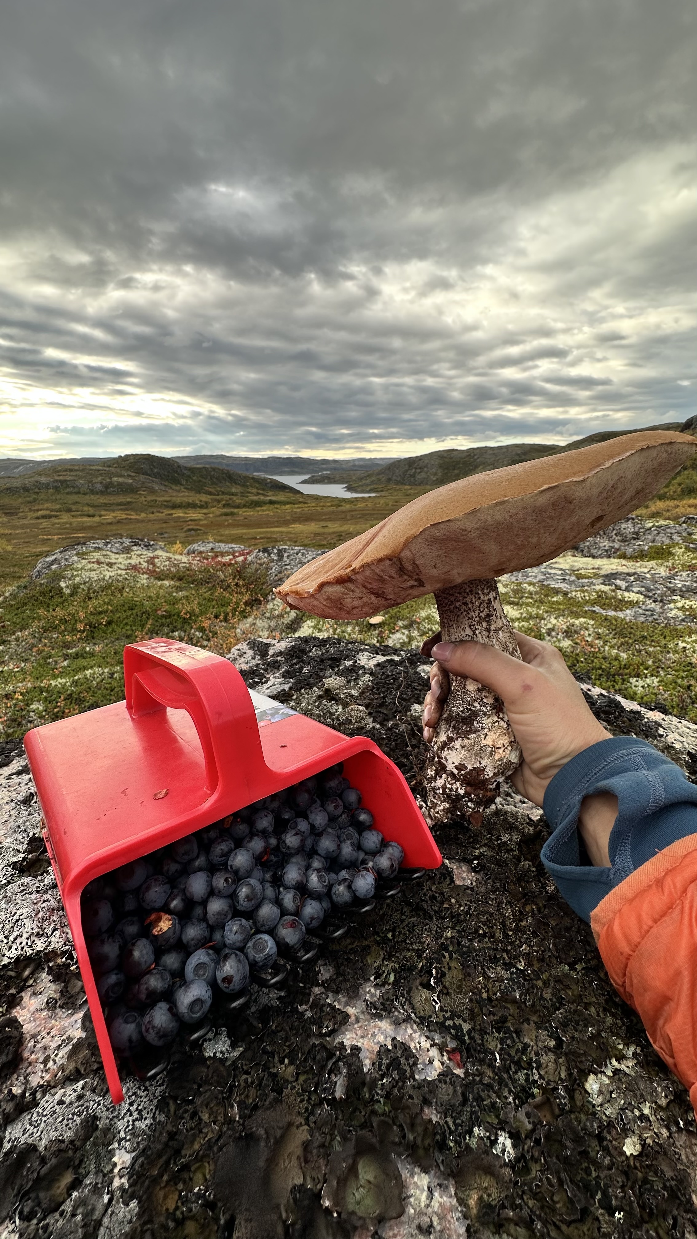 Териберка, Киты, Крабы, Баня. Всё Включено (30/38)