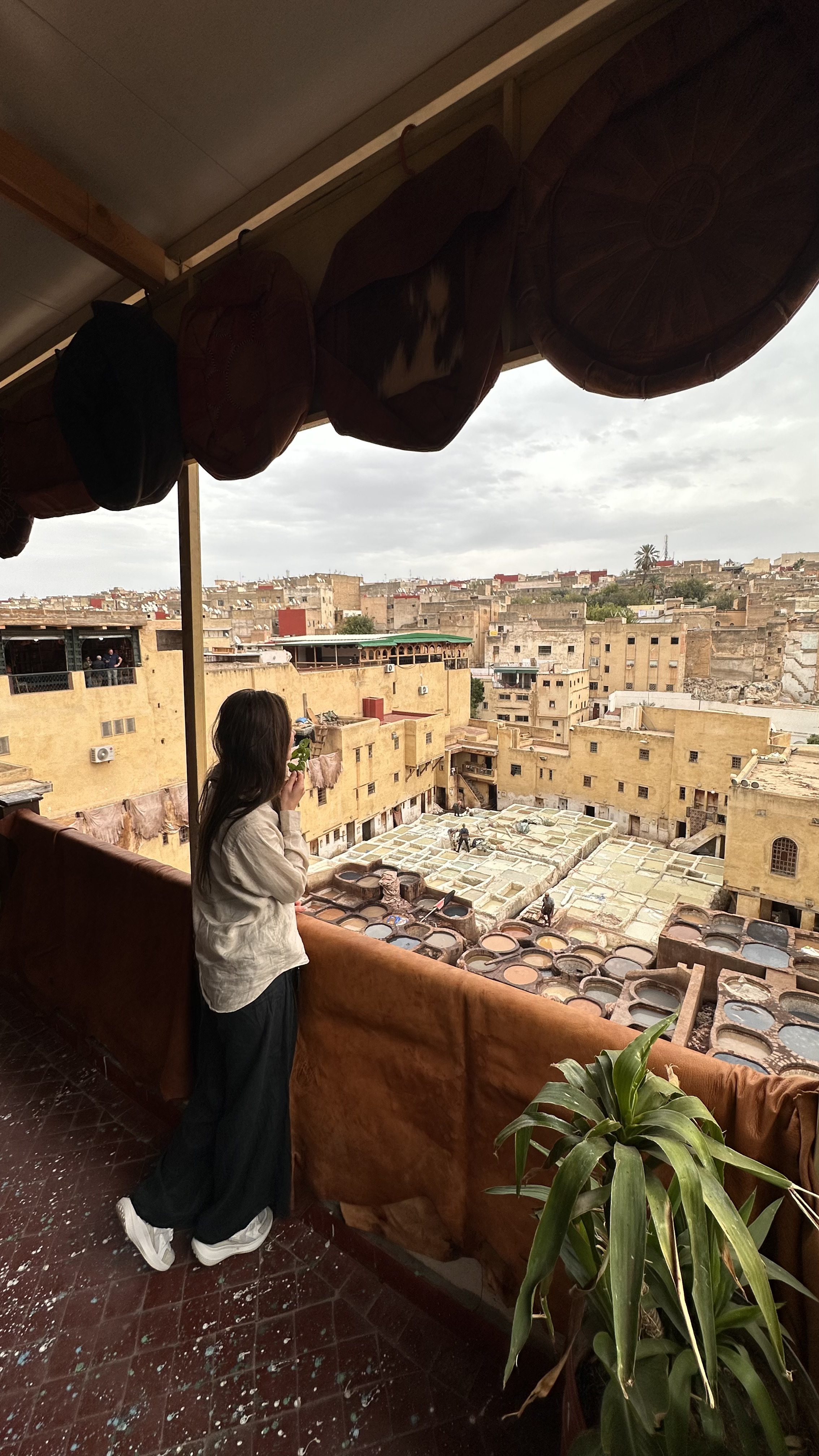 Увидеть Весь Марокко За 10 Дней (79/109)